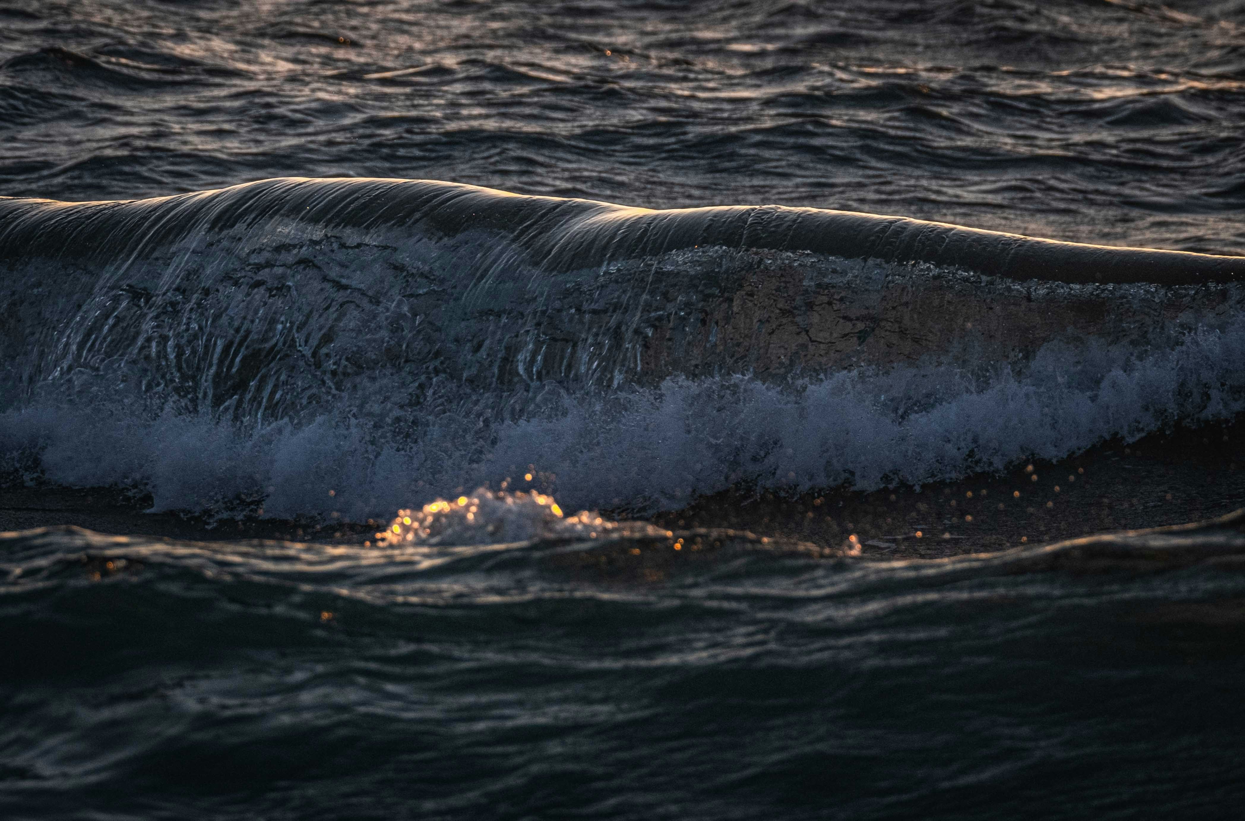 Photo by francesco_ungaro