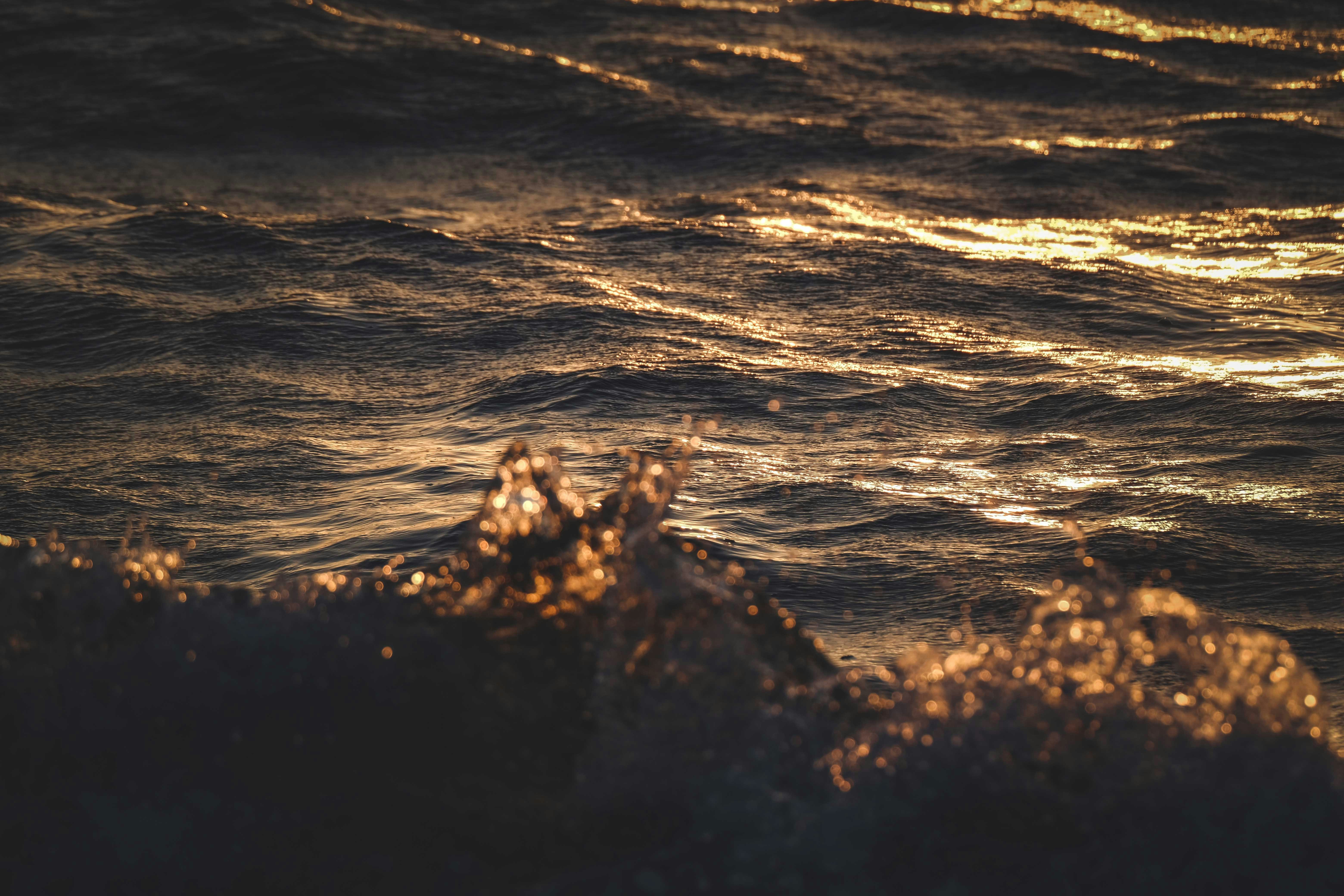 Photo by francesco_ungaro