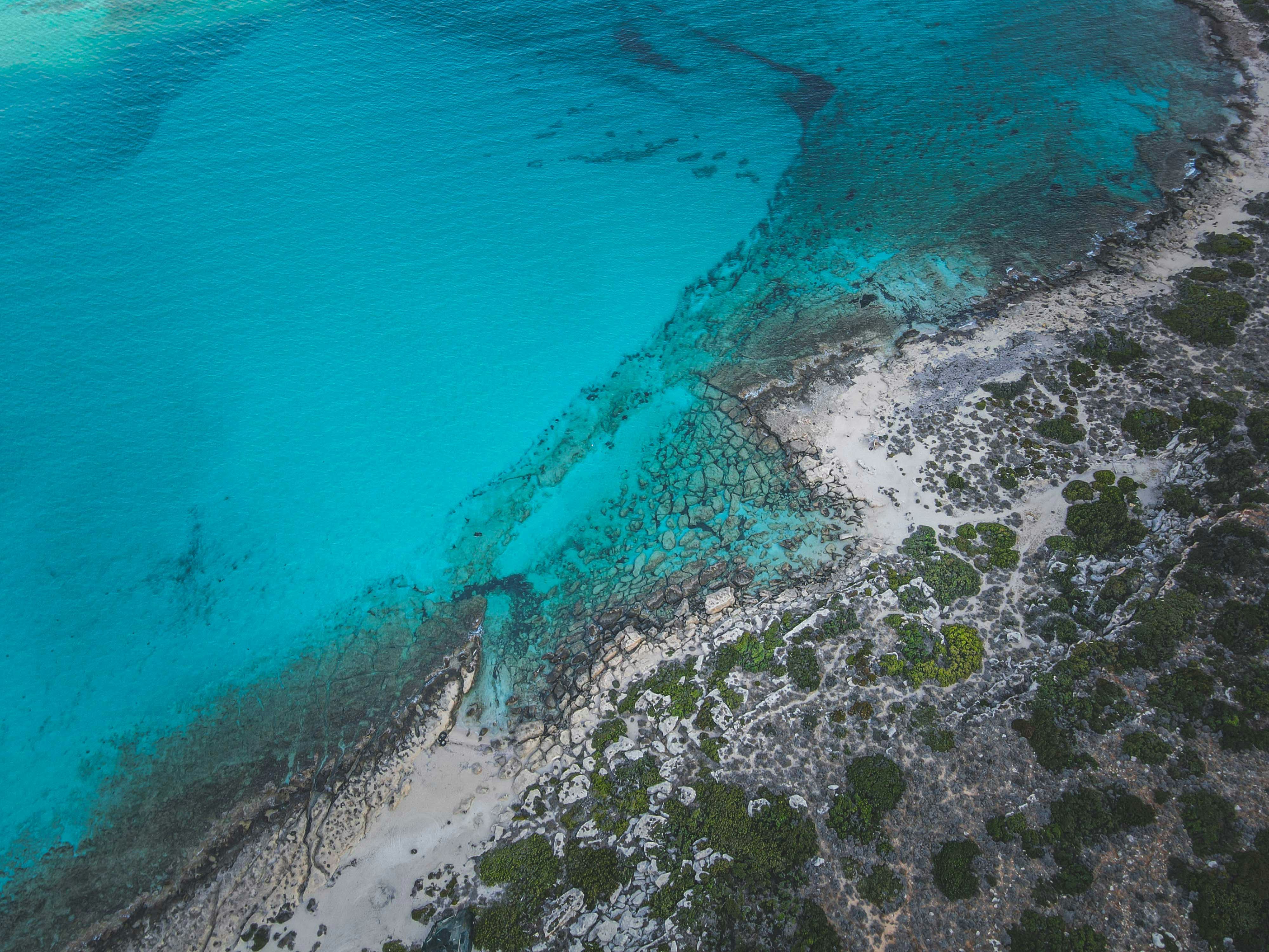 Photo by francesco_ungaro