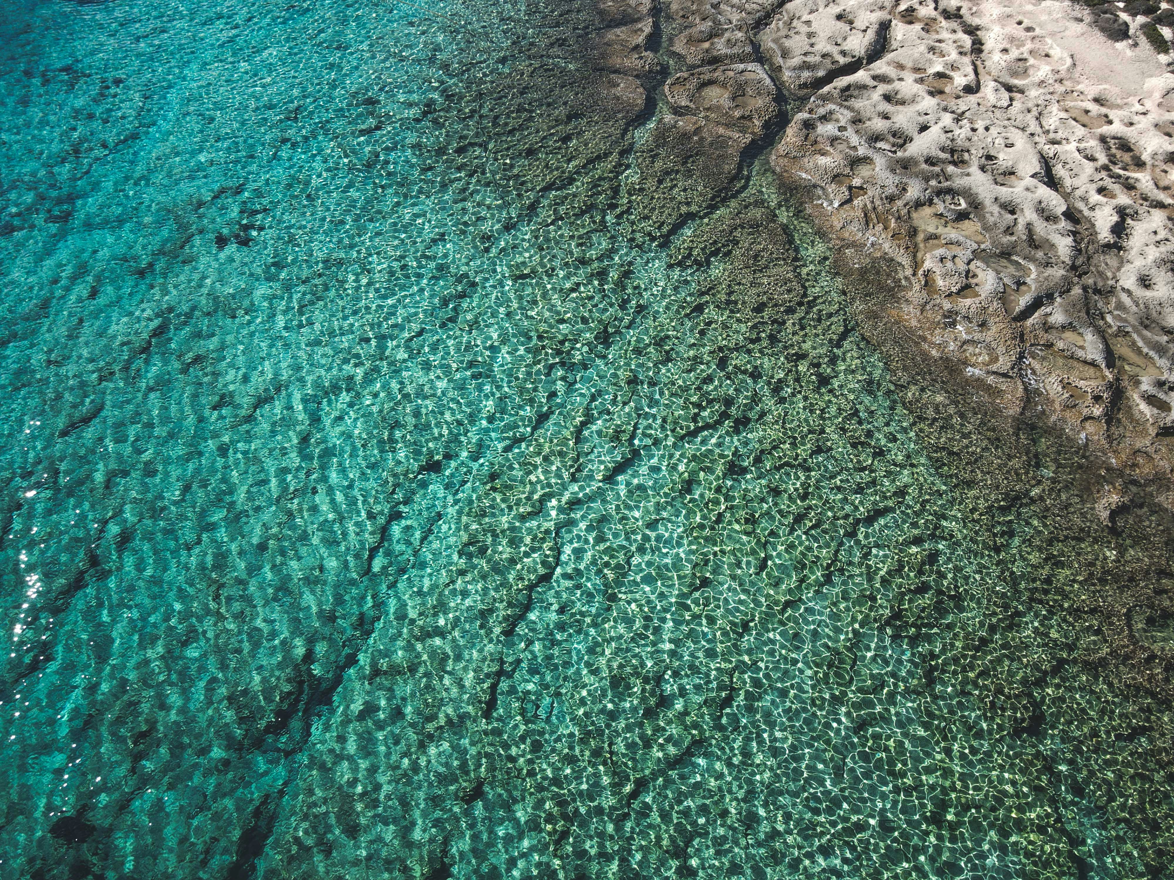 Photo by francesco_ungaro