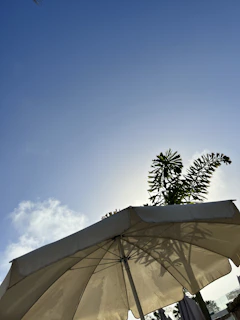 Happy customer enjoying a sunny day under a colorful, sturdy sunshade made from green, eco-friendly fabric.