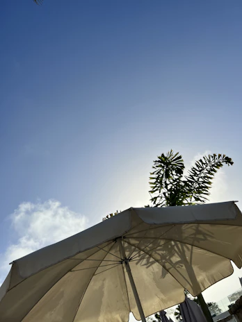 Happy customer enjoying a sunny day under a colorful, sturdy sunshade made from green, eco-friendly fabric.