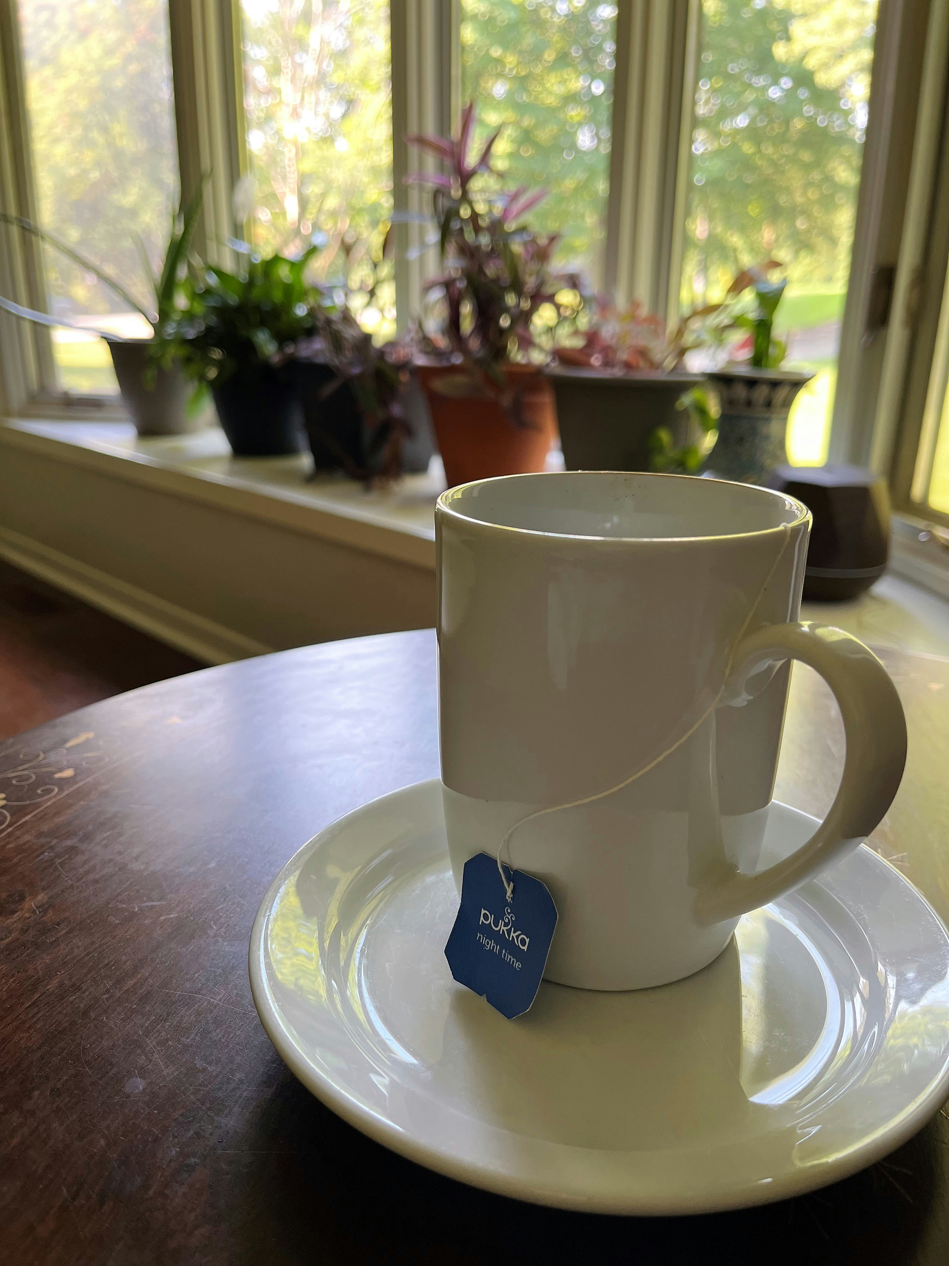 Hand-Thrown Stoneware Mug
