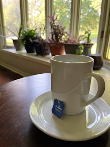Taza FUViSA