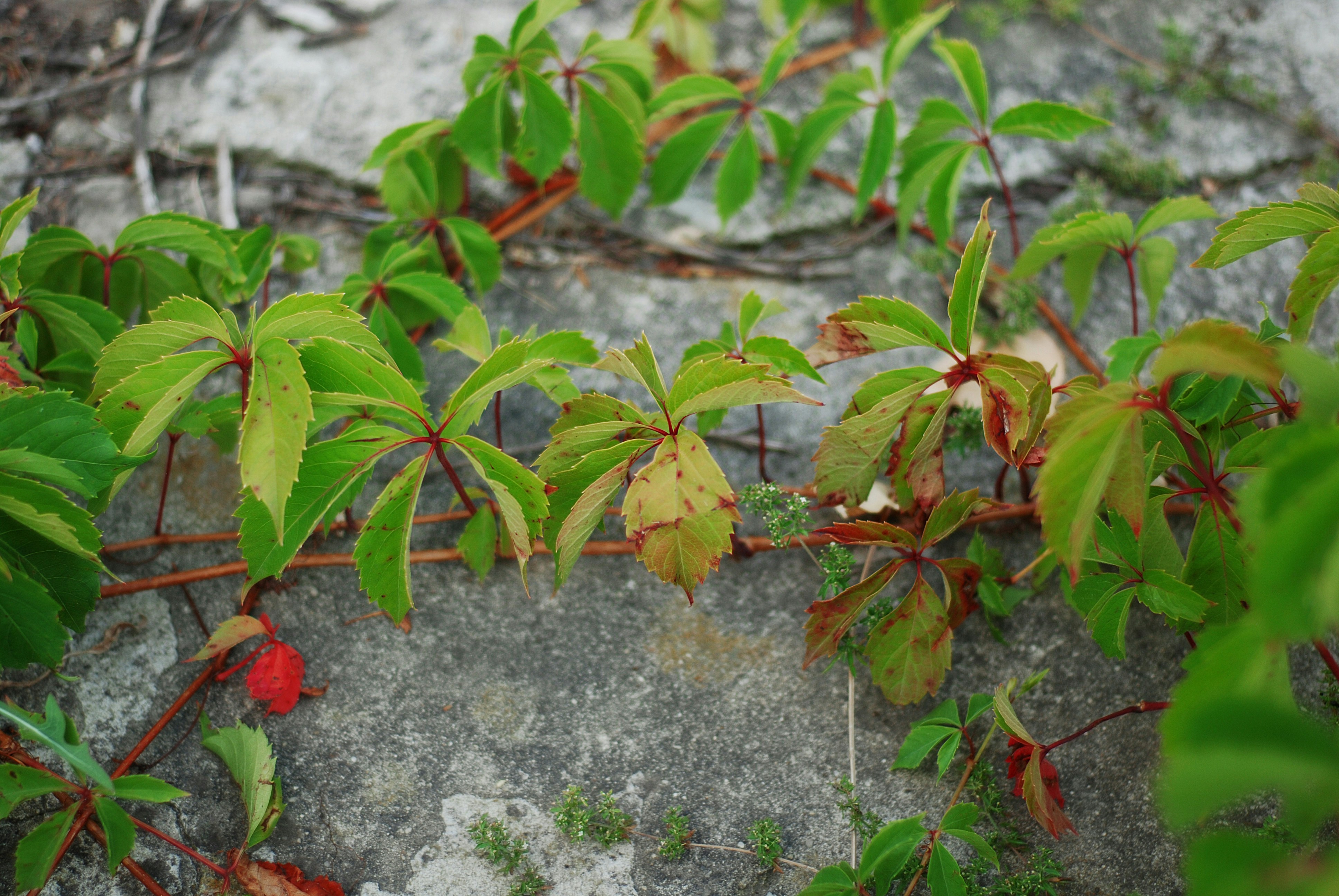 Photo by kovalskihelga