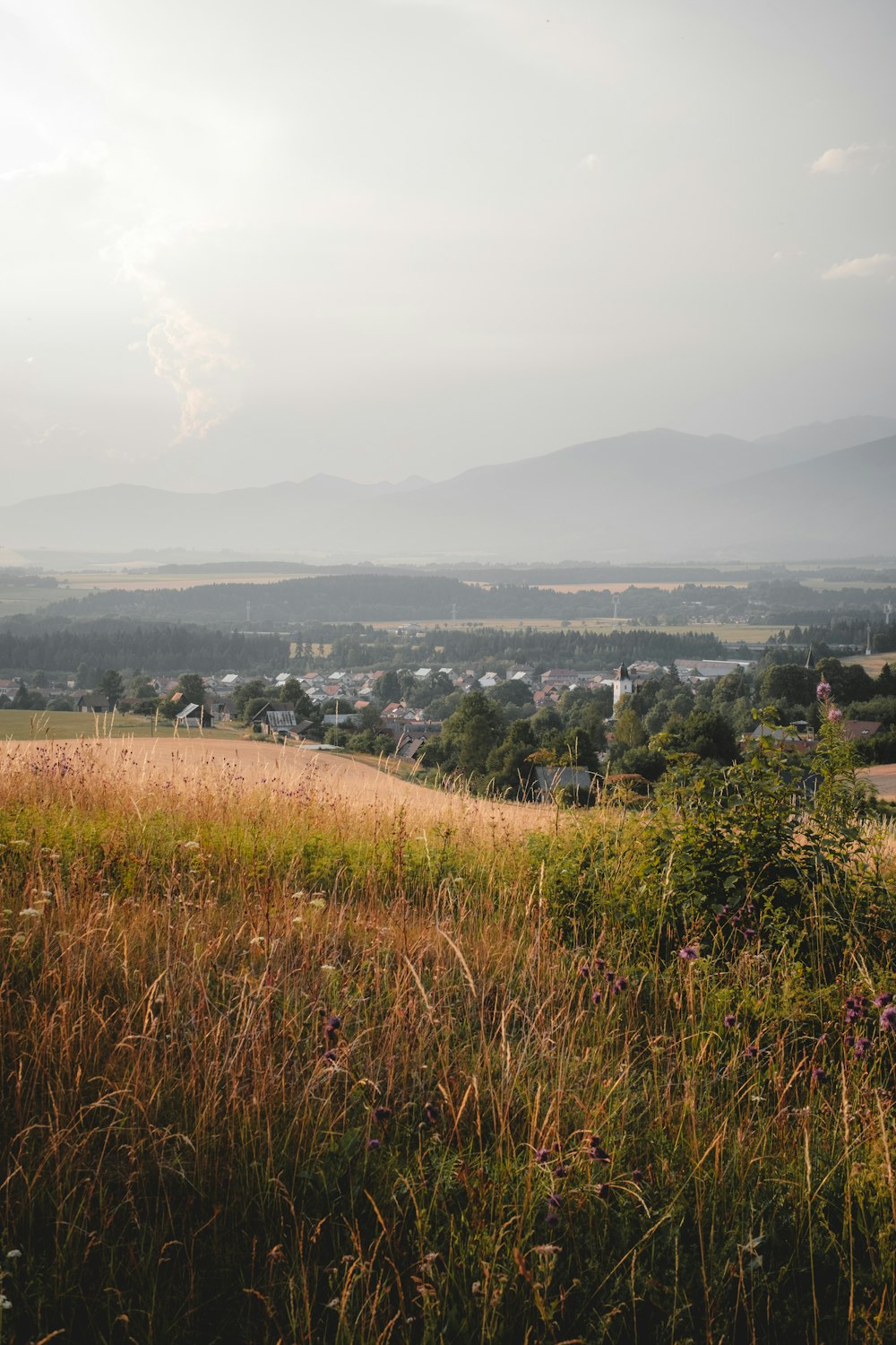 a grassy field with trees and buildings in the distance