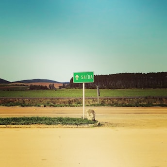 A green road sign with the text 'SAÍDA' and an upward arrow is positioned by the roadside, surrounded by an expansive rural landscape. Behind the sign, fields stretch into the distance with low hills and a line of trees under a clear sky.