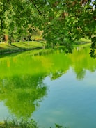 Retention pond cleared of debris with surrounding landscaping tidy and well-maintained.
