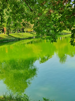 A freshly excavated pond with smooth graded banks surrounded by trees.