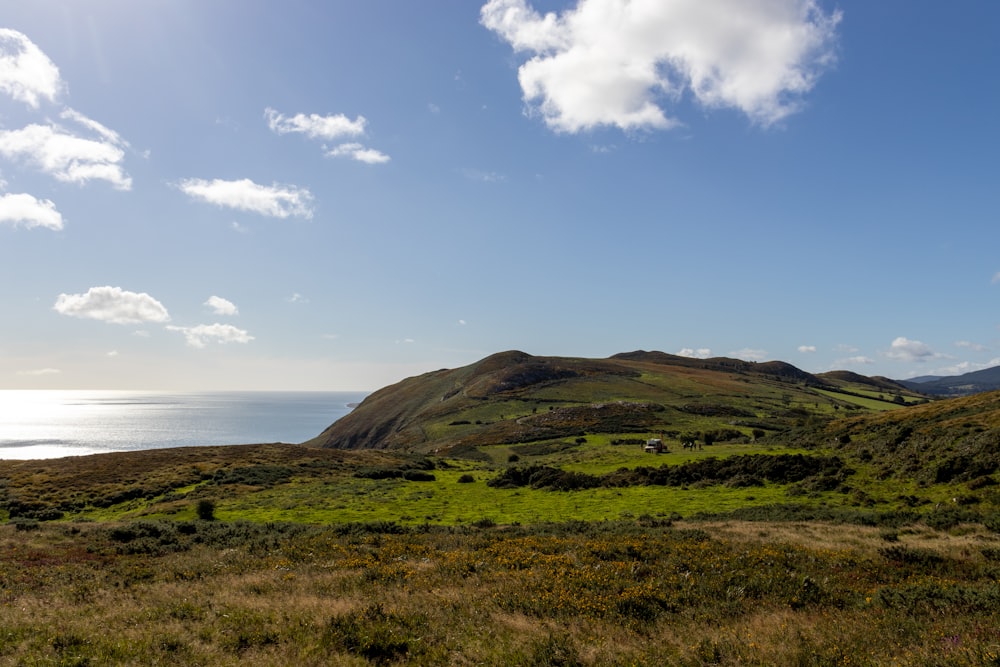 a grassy hill with a body of water in the background