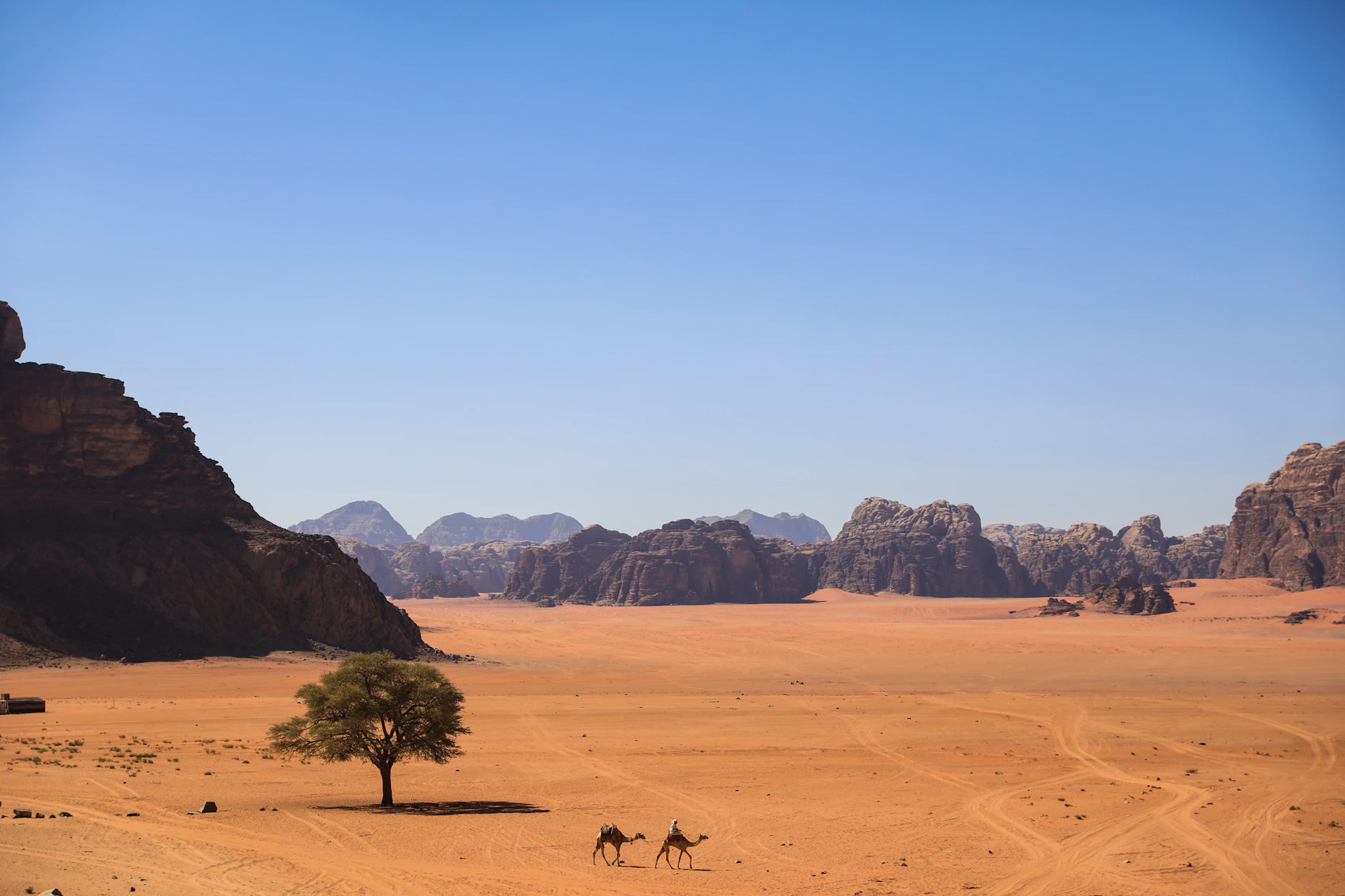 Camels crossing the red desert beneath rock formations in Wadi Rum