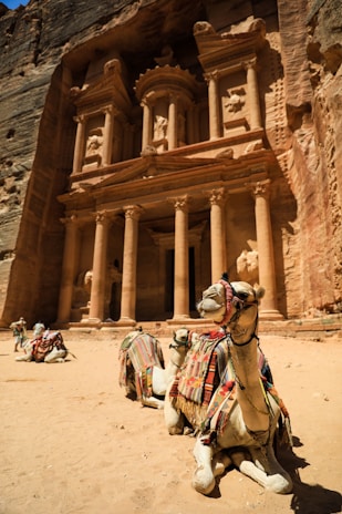 a group of people riding camels with Petra in the background
