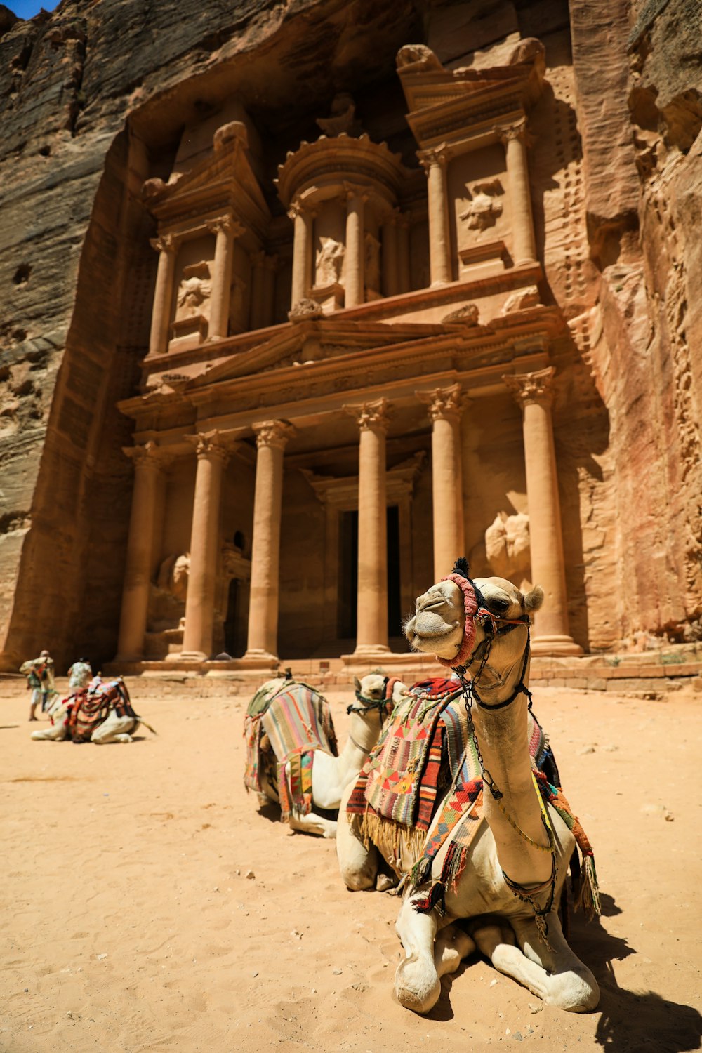 a group of people riding camels with Petra in the background