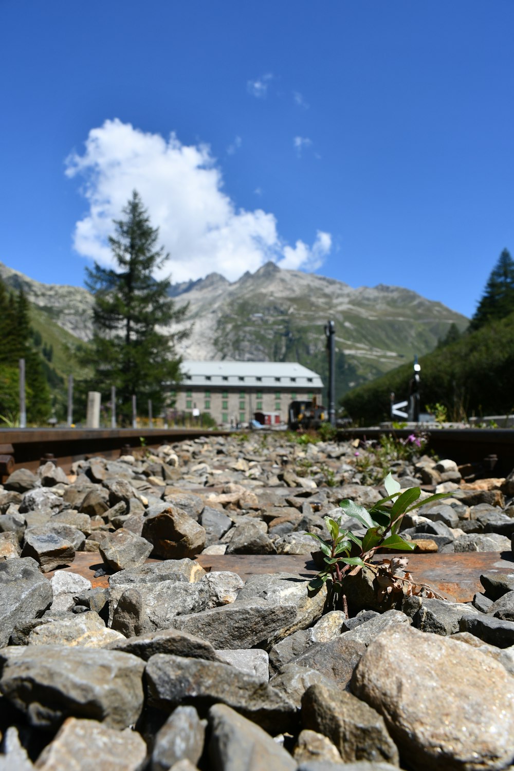 a rocky area with a building in the background