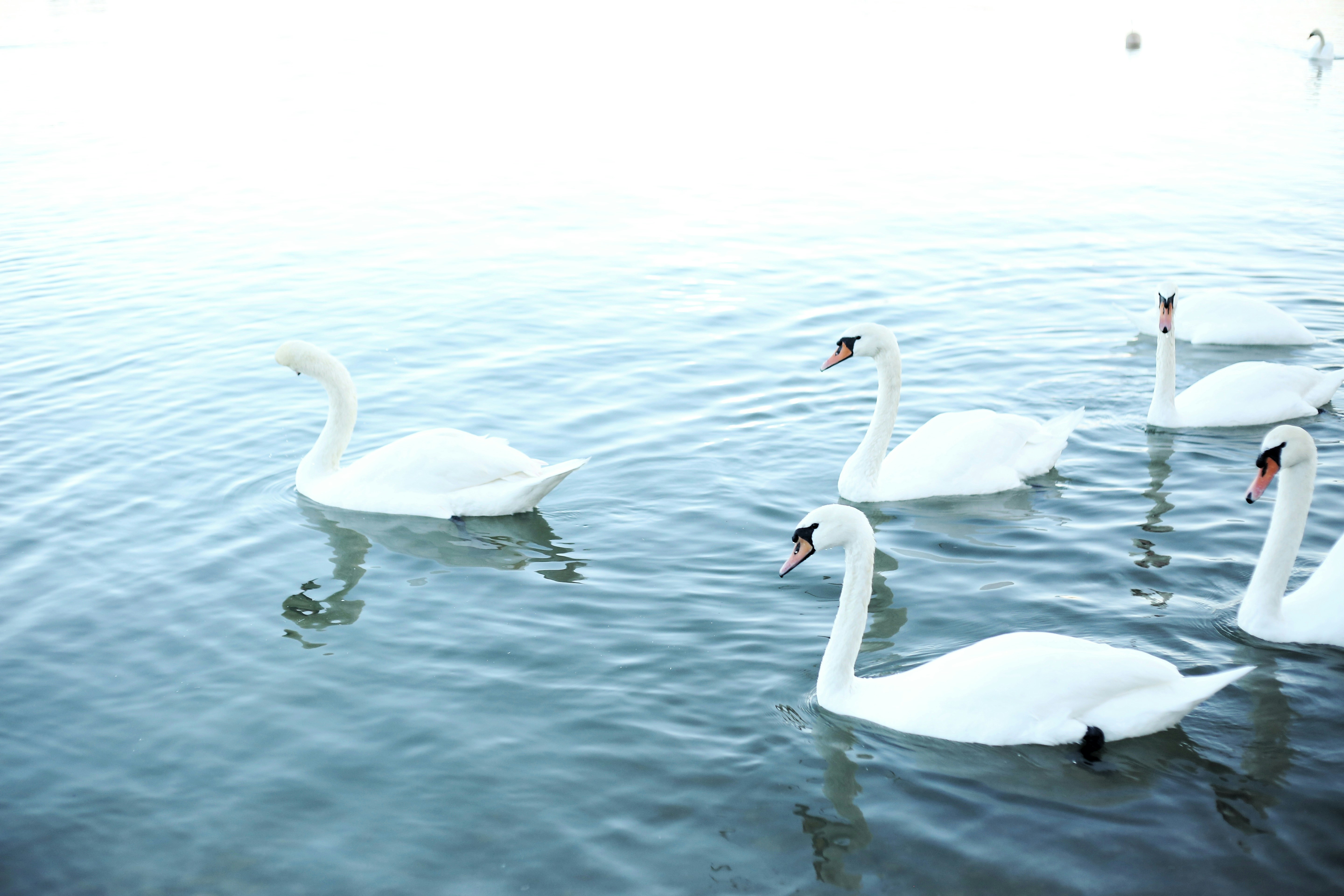 Photo by vesnikproleca