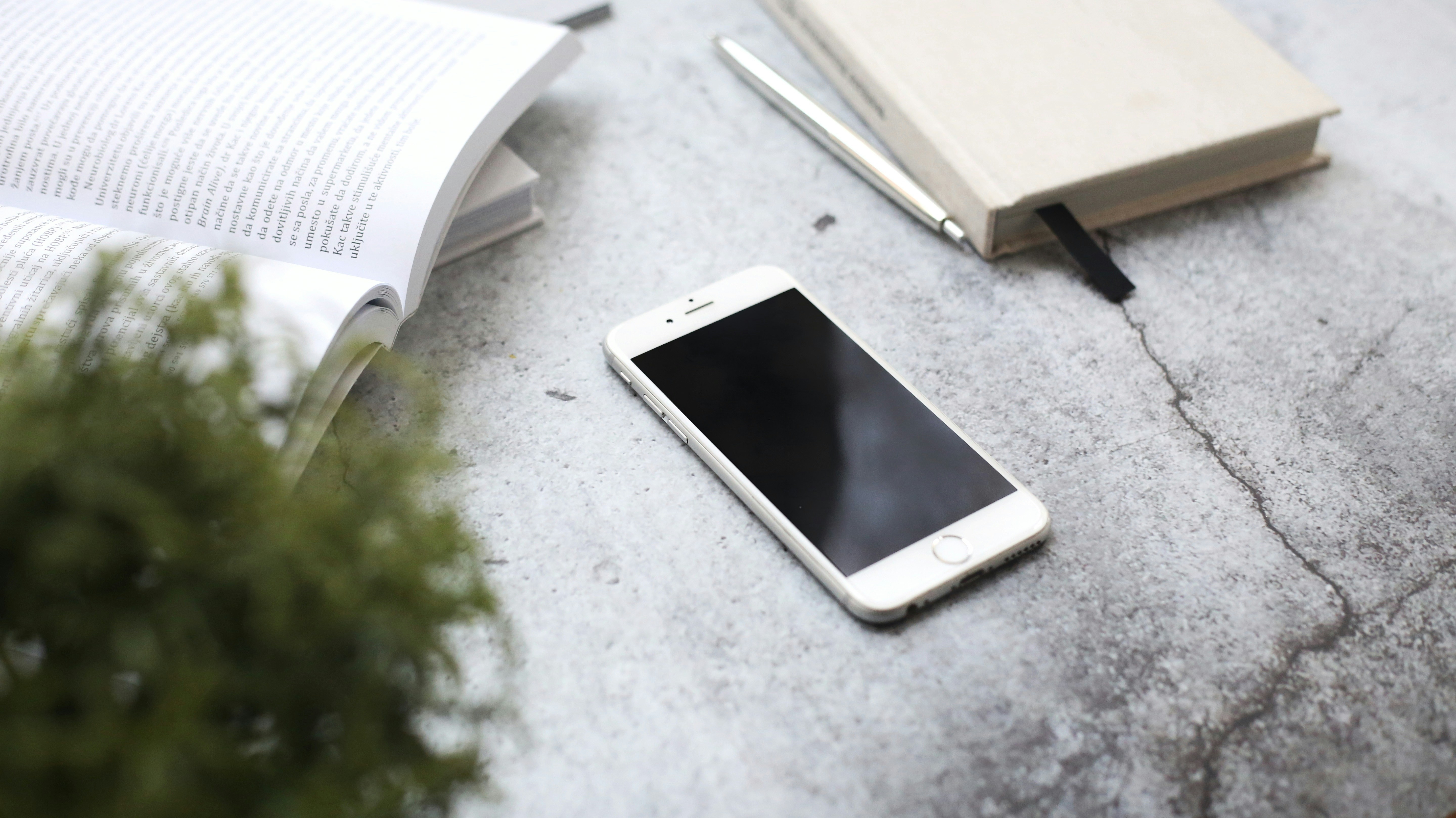 Photo by vesnikproleca