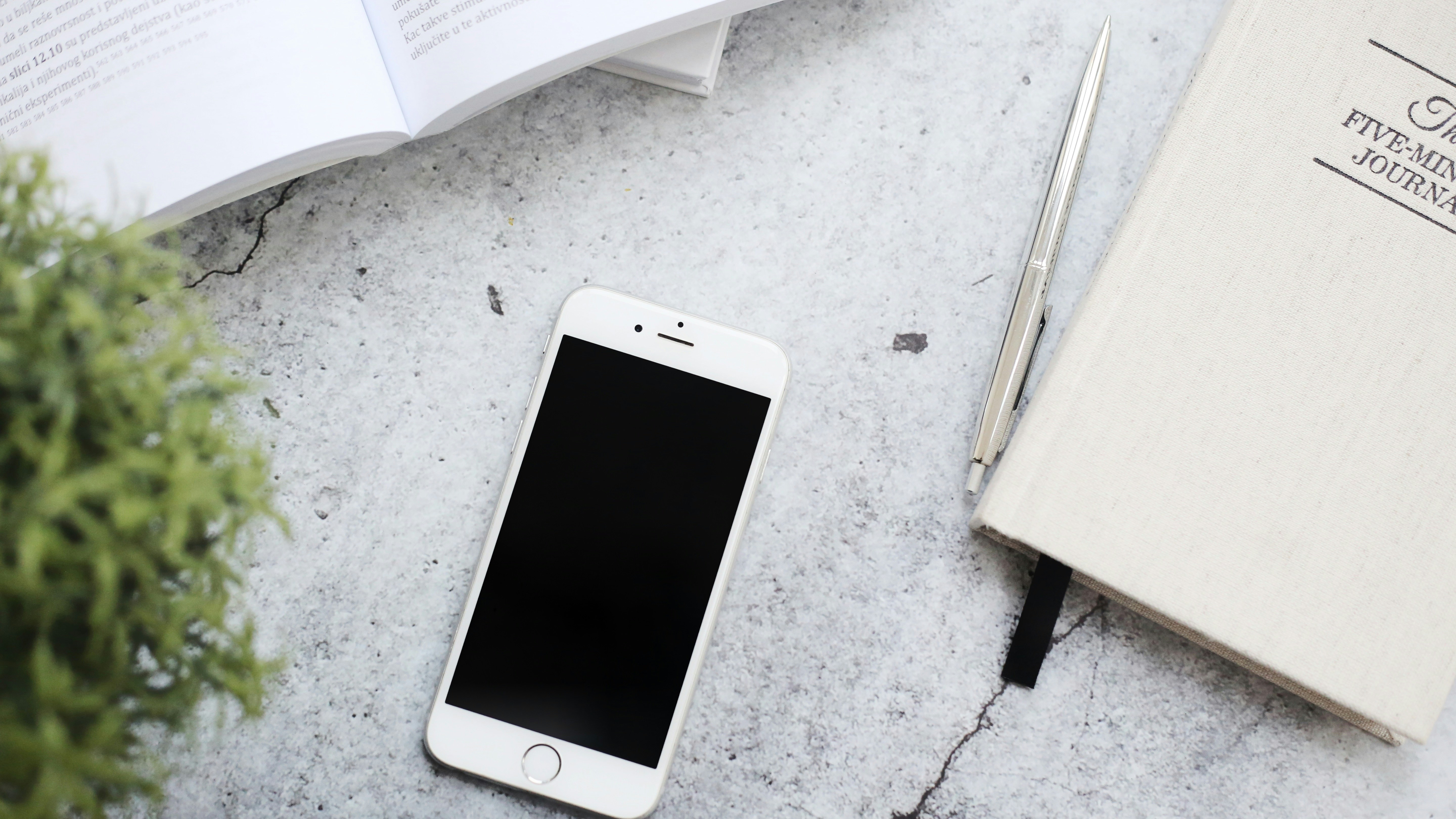 Photo by vesnikproleca