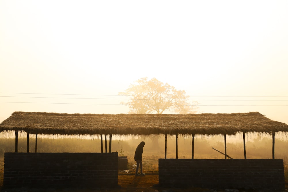 a person standing next to a tree