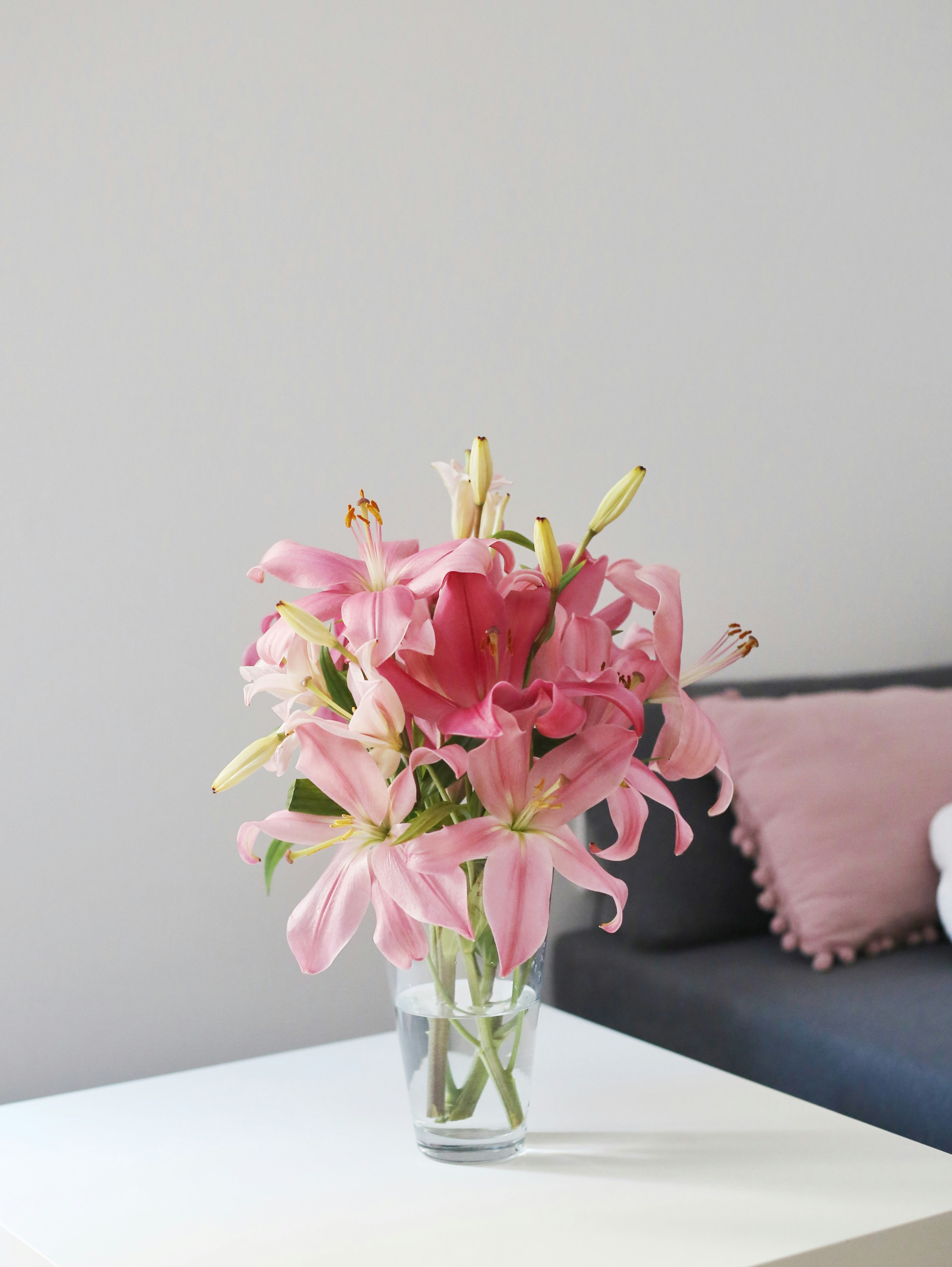 Photo by vesnikproleca