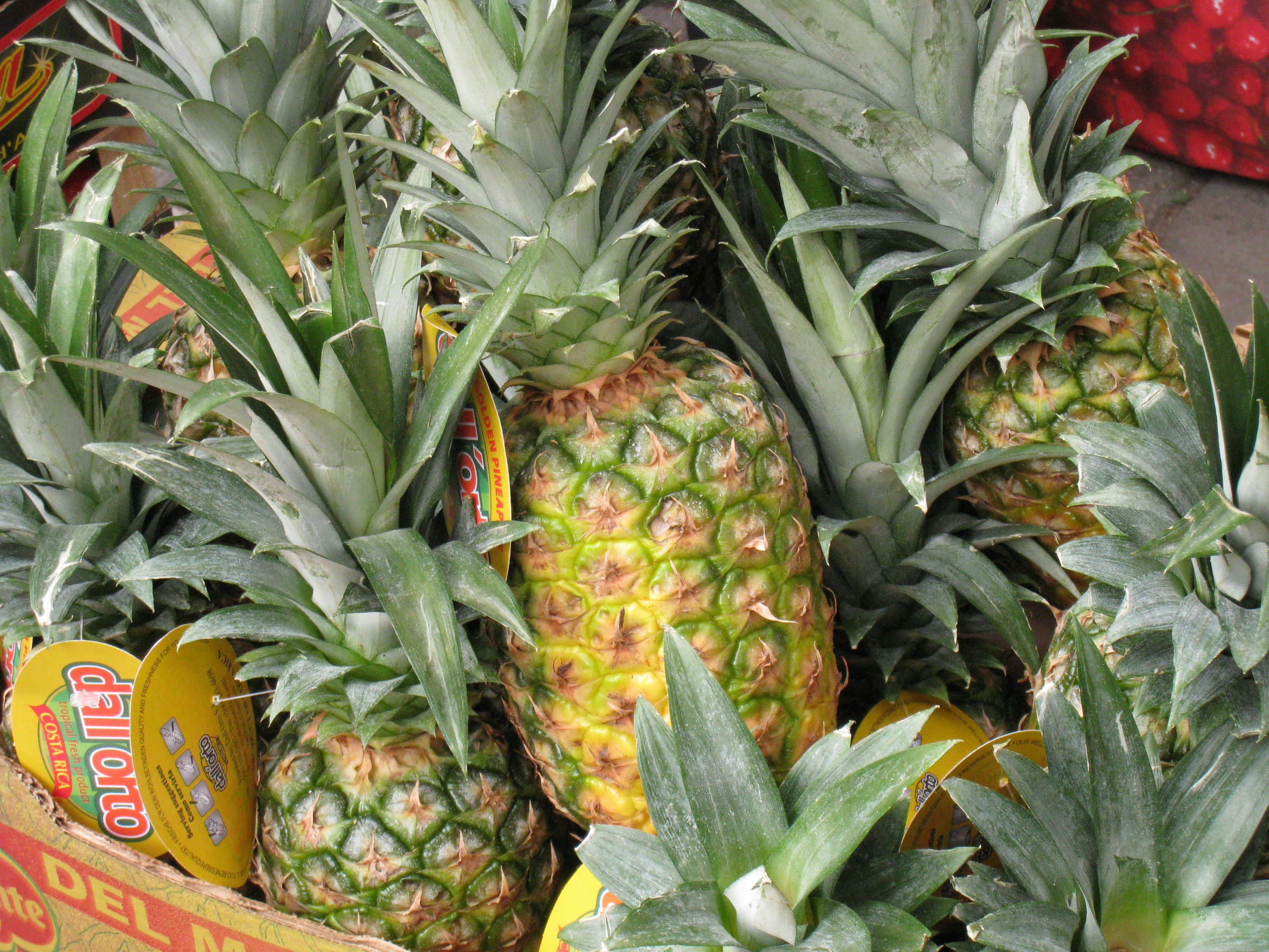 Photo by mike_romeo_hotel