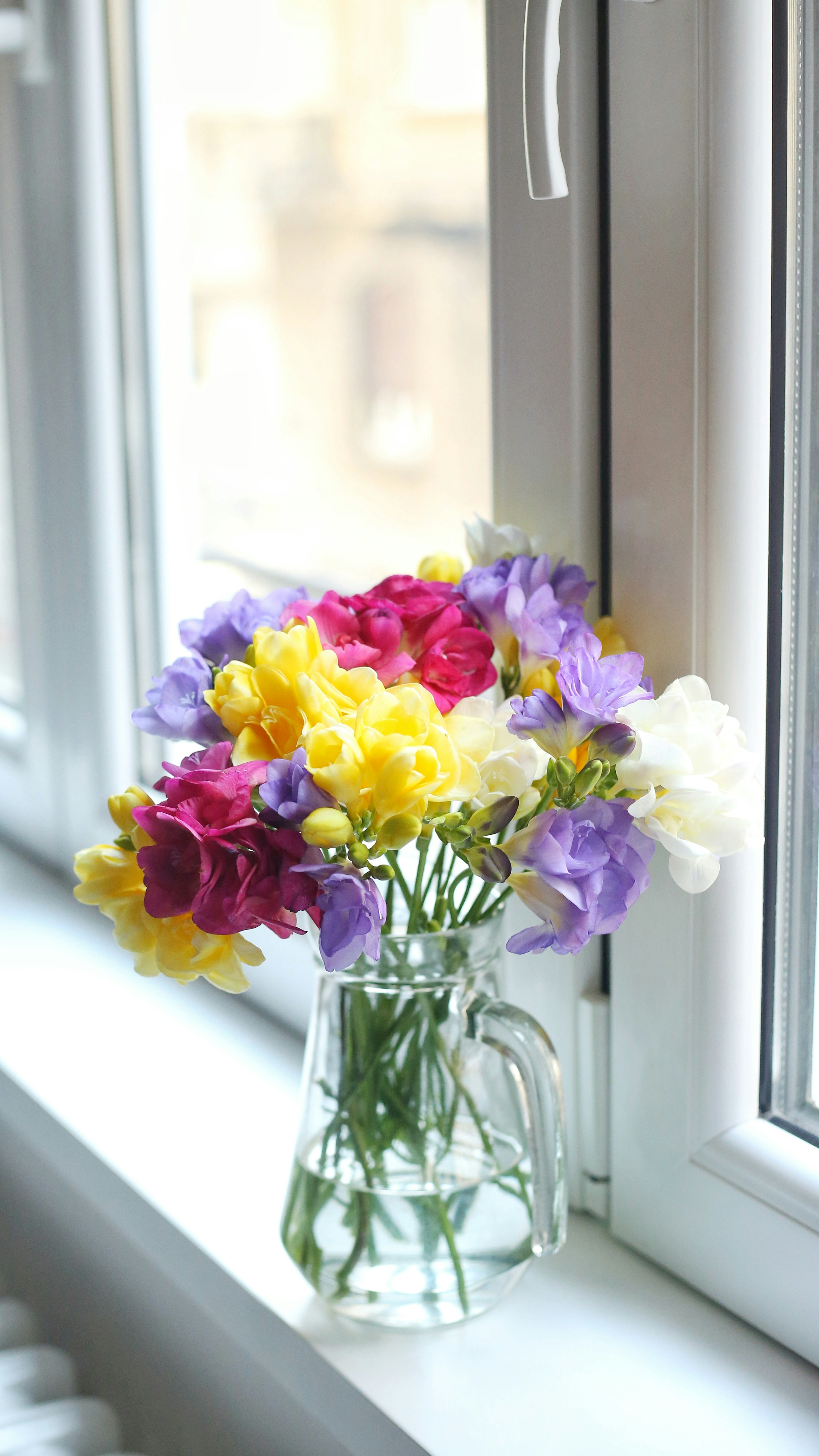 Photo by vesnikproleca