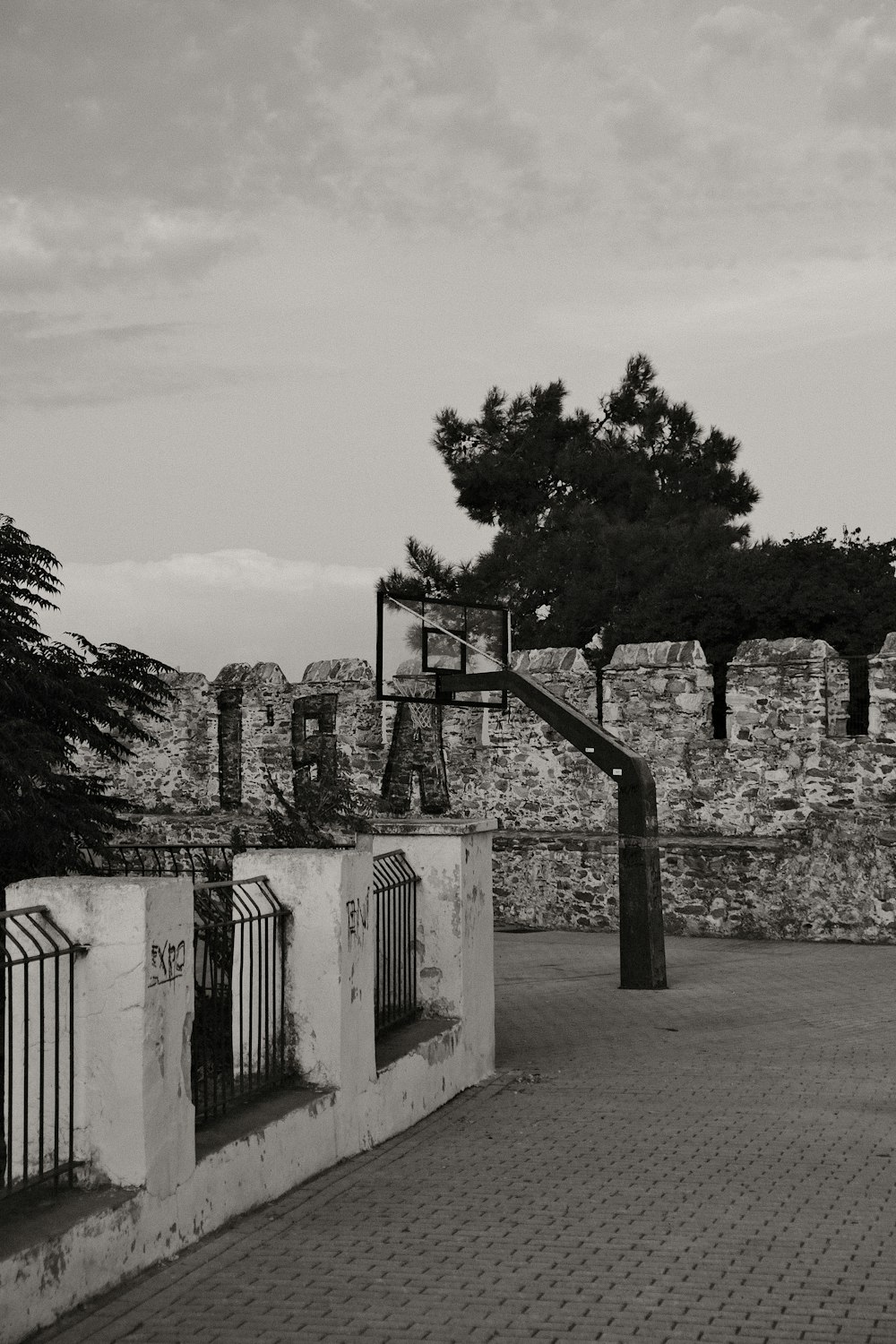 a stone wall with a gate and a tree