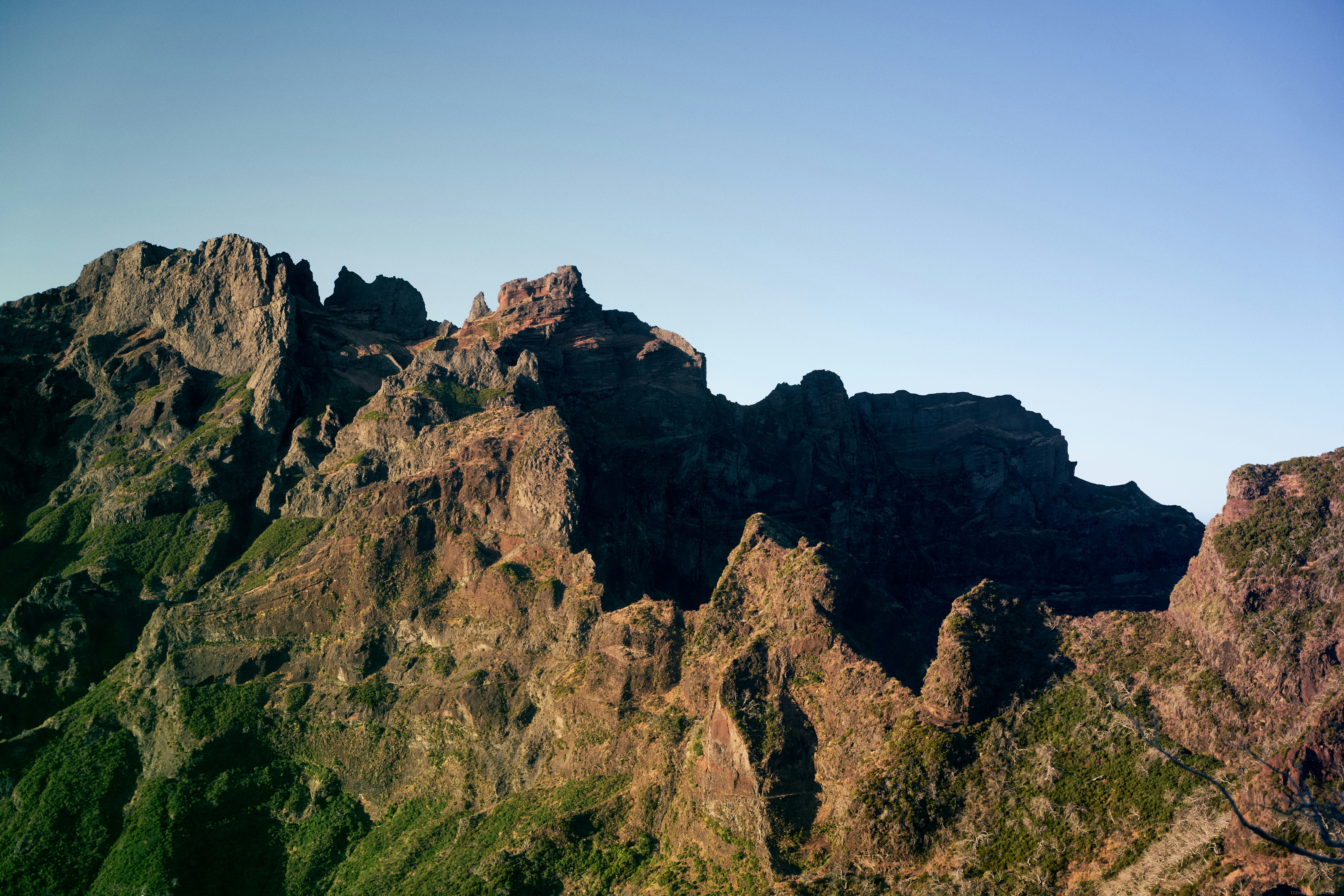 Photo by travelalphawolf