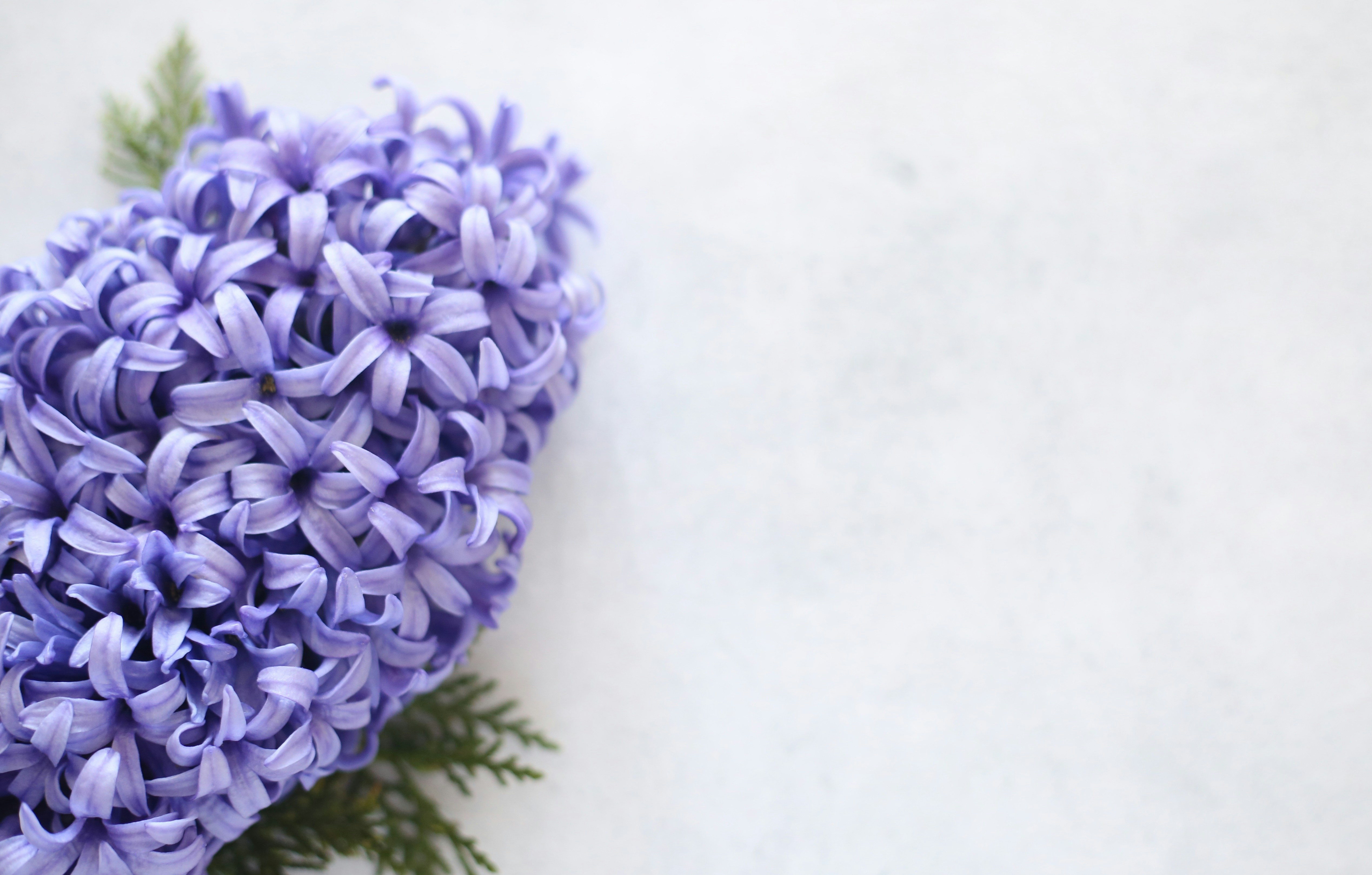 Photo by vesnikproleca