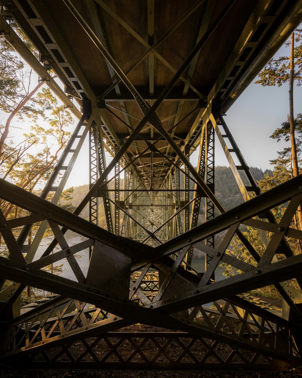 a metal bridge with trees