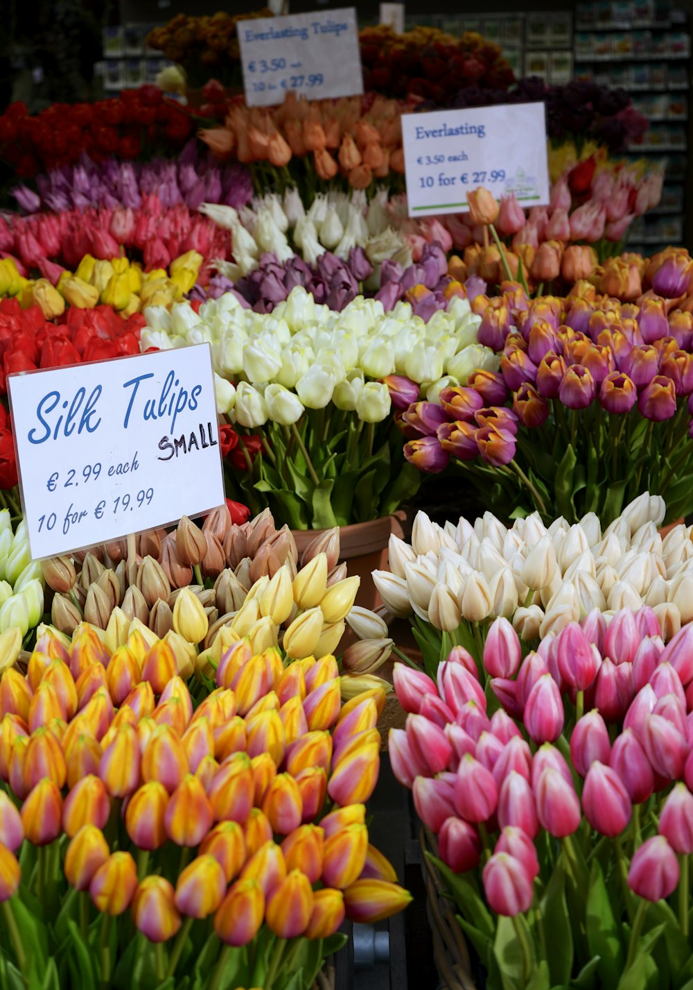 a group of flowers