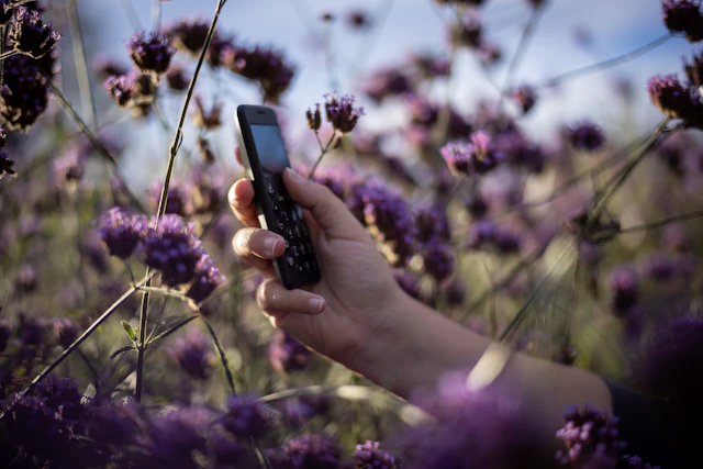 Teléfono sencillo entre flores como representación de una desconexión consciente