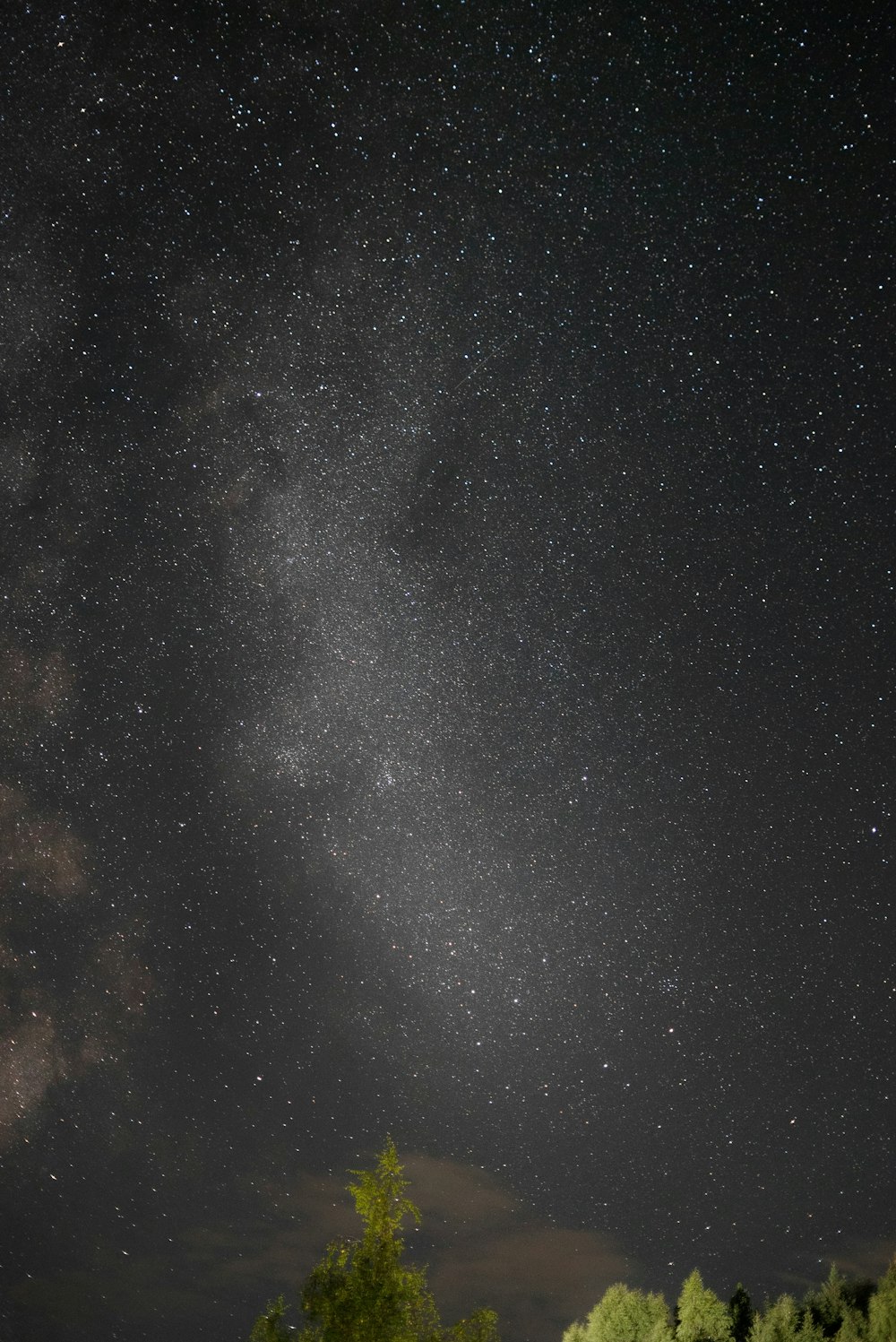 a starry night sky with trees