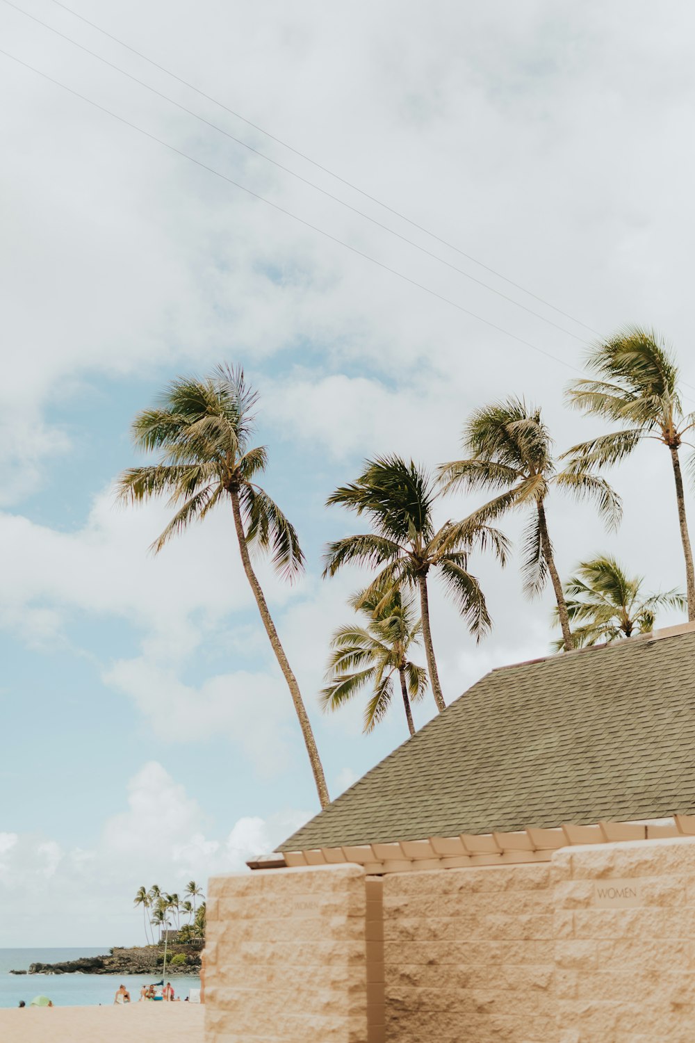 a building with palm trees and a body of water in the background