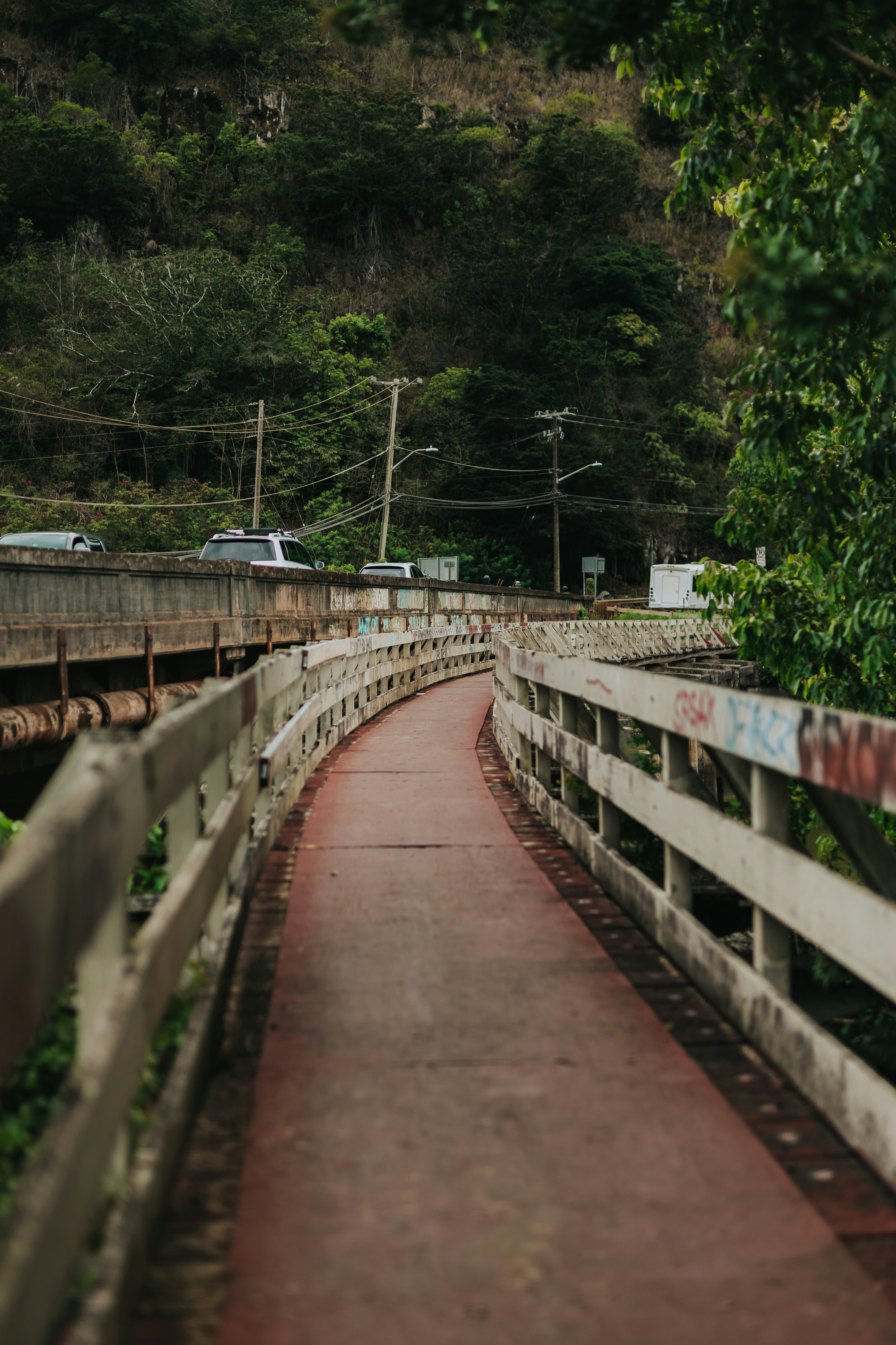 Photo by donovan_valdivia