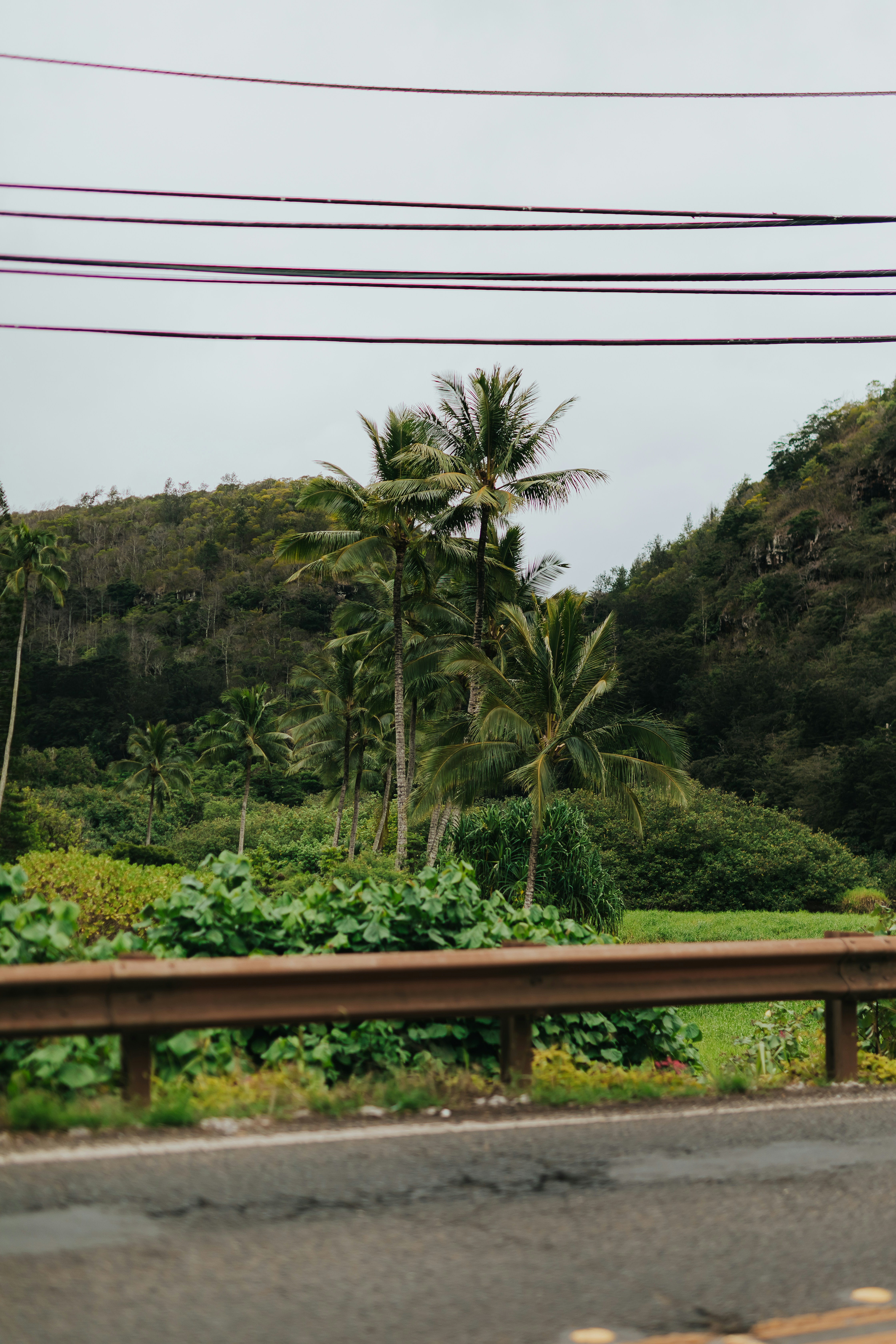 Photo by donovan_valdivia