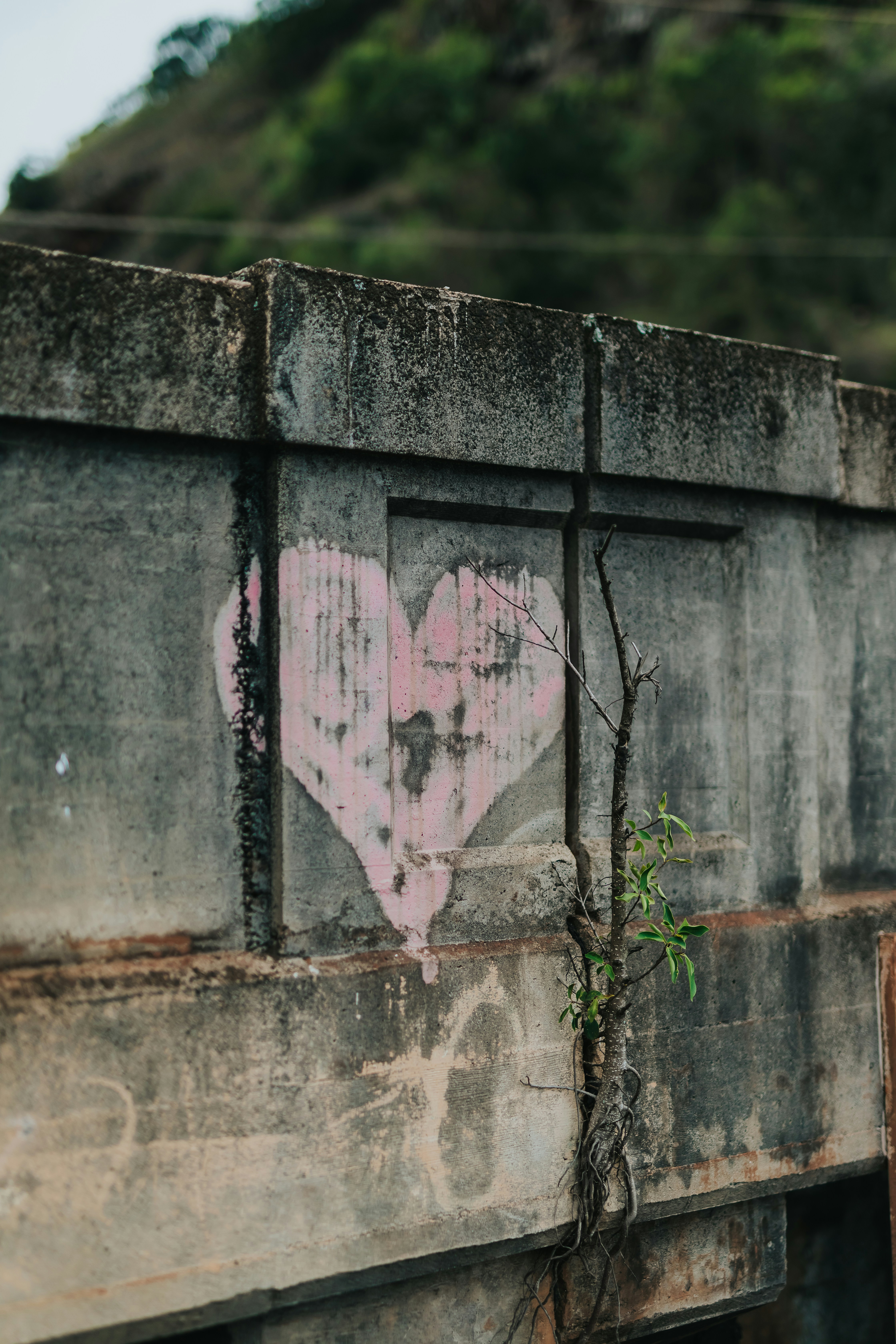 Photo by donovan_valdivia