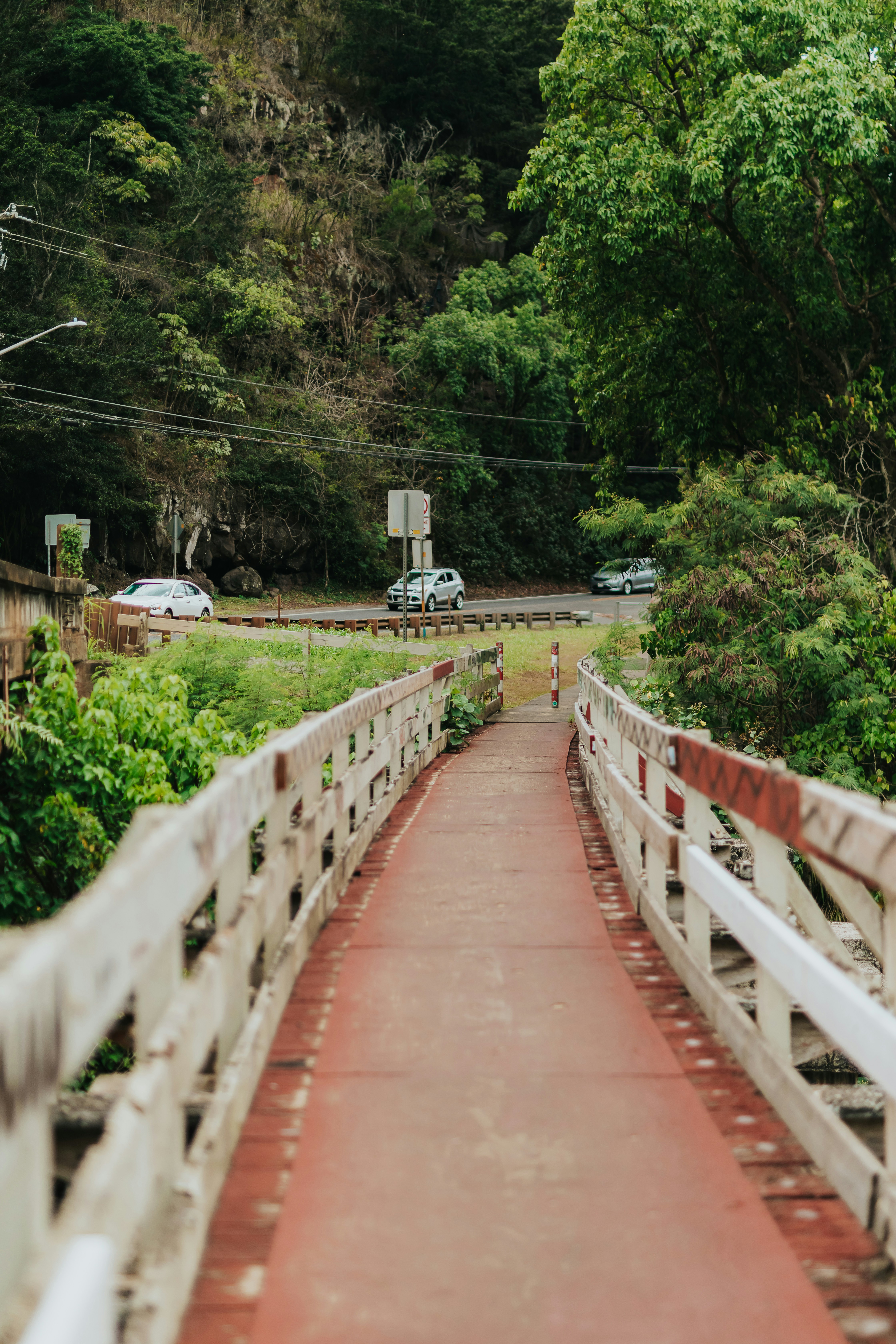 Photo by donovan_valdivia