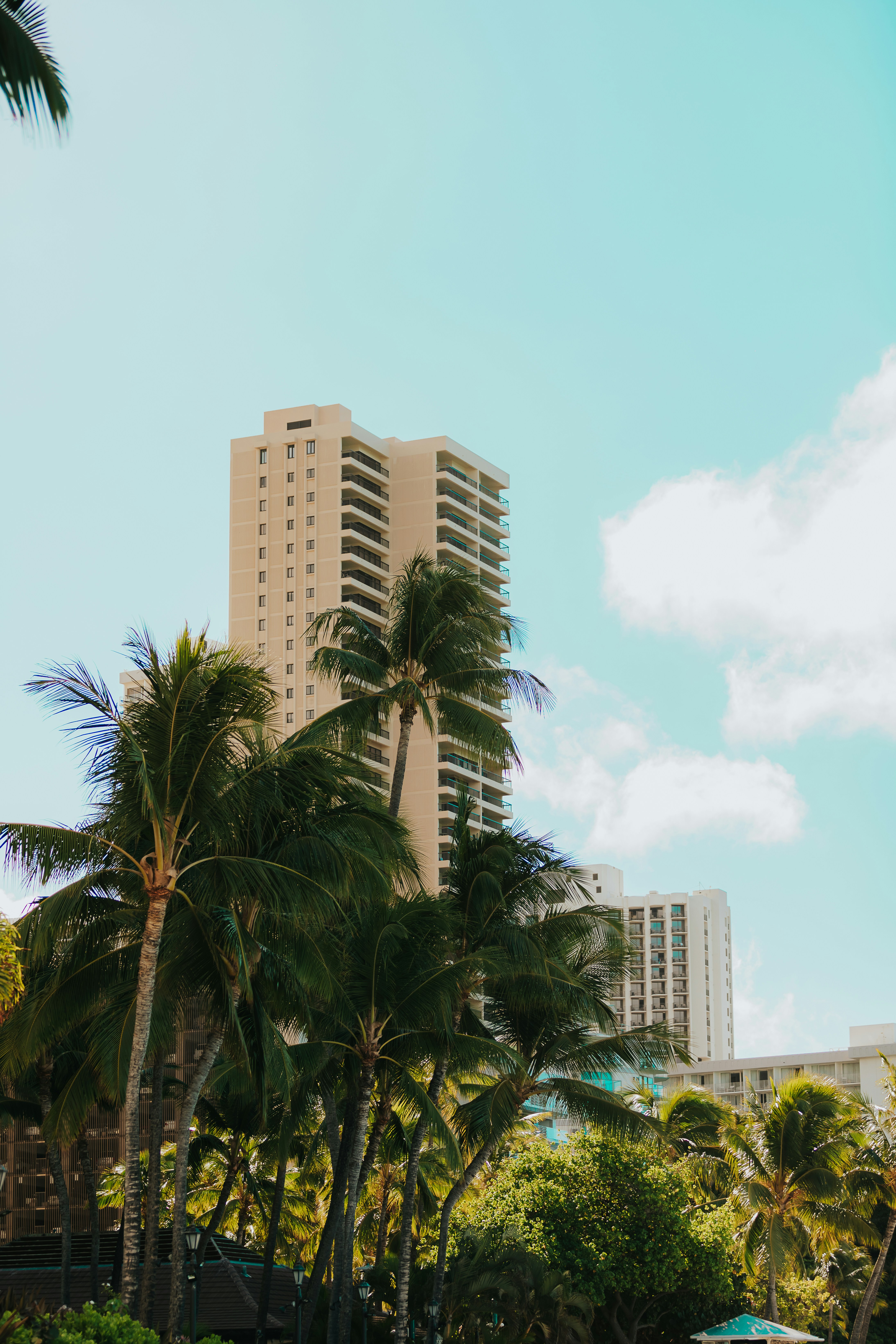 Photo by donovan_valdivia