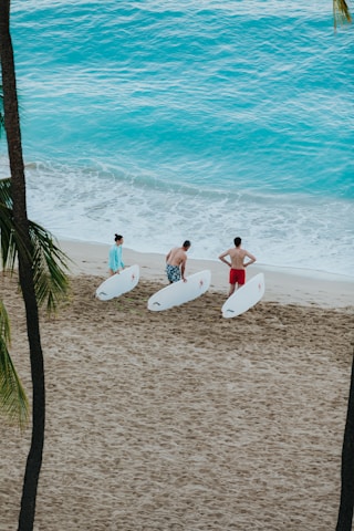 a group of surfers stand on the beach