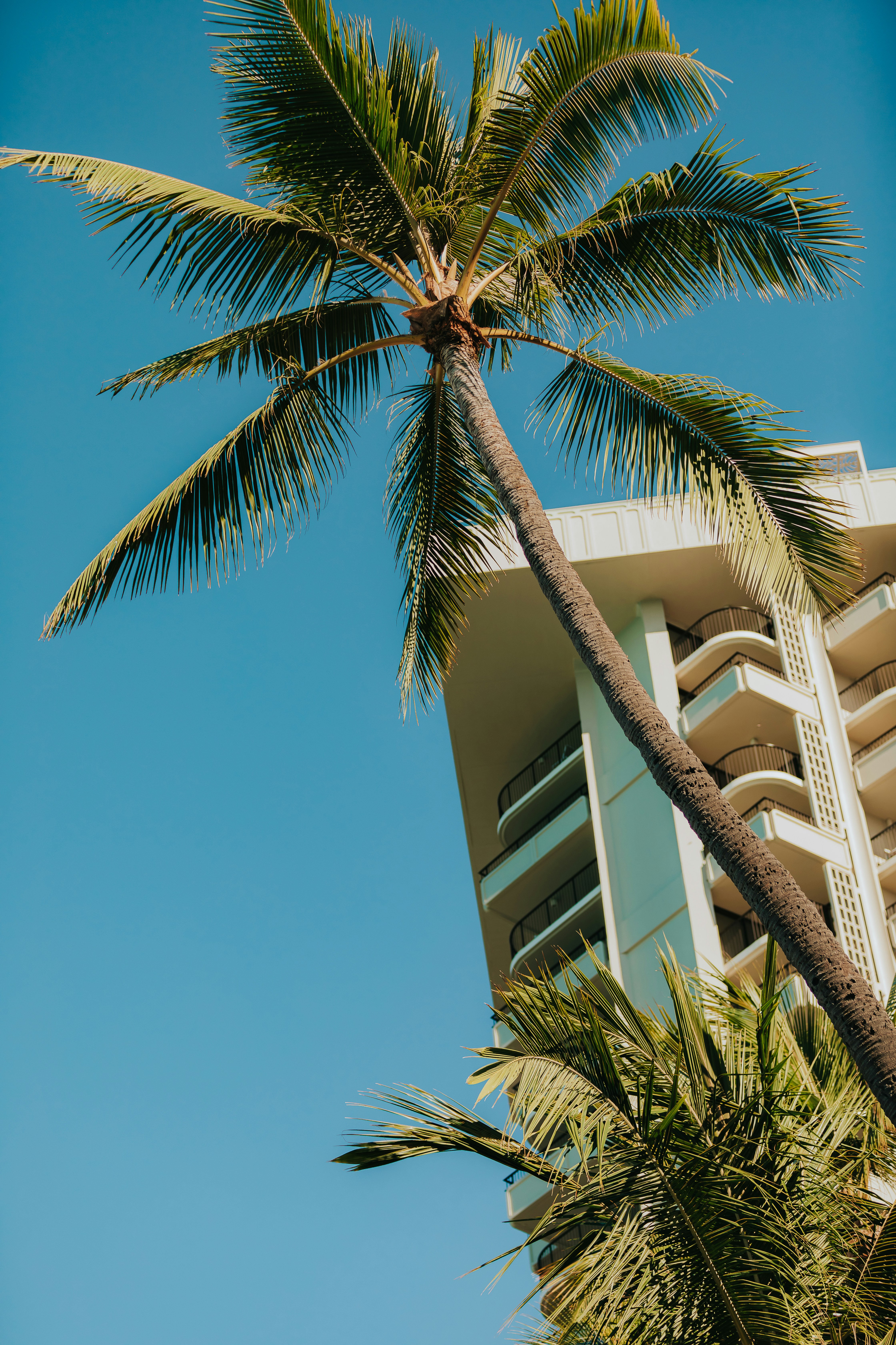 Photo by donovan_valdivia