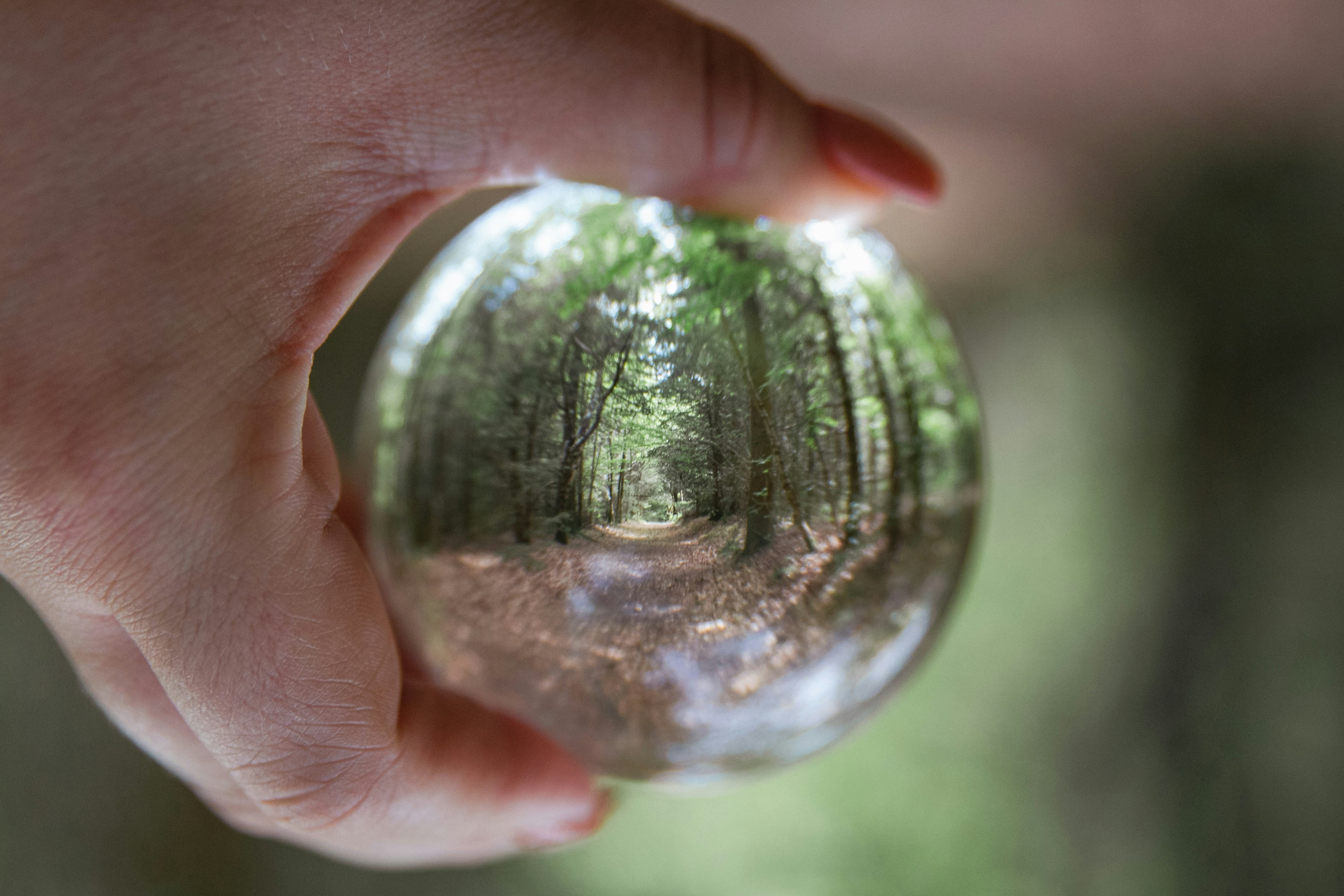 Photo by chloelammiman