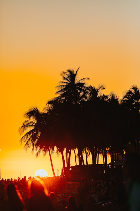 Beso Beach sunset party atmosphere with palm trees