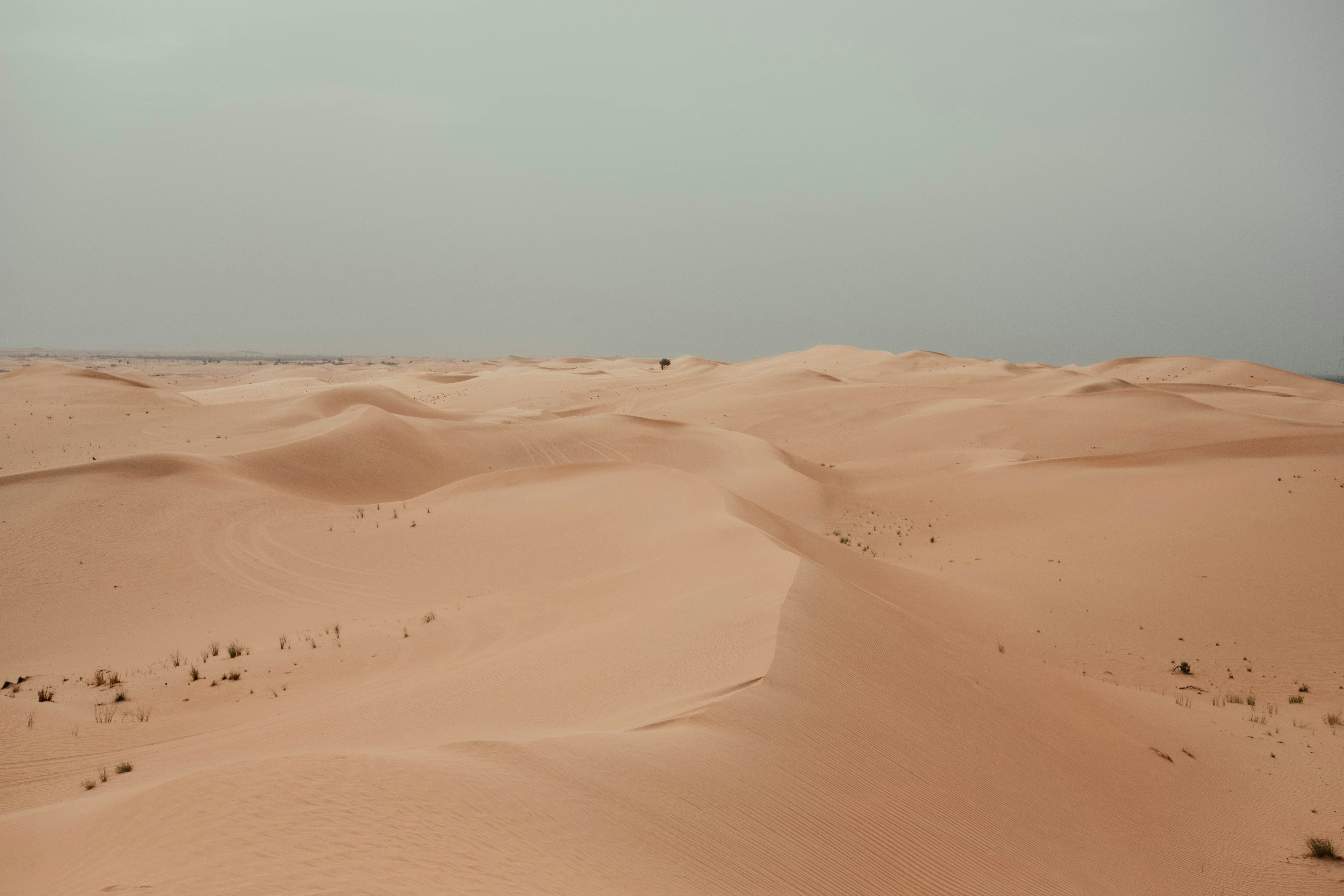 a desert with sand