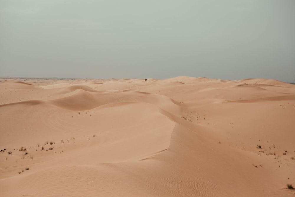 Un desierto con arena