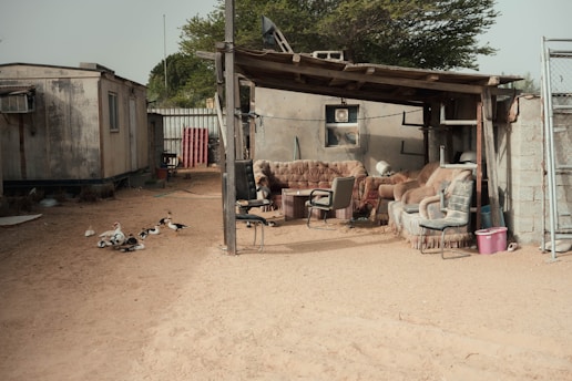 A rustic outdoor setting features a makeshift shelter with an assortment of worn-out couches and chairs arranged under a wooden canopy. The area is surrounded by sandy ground, and there are several ducks standing near the shelter. A weathered building with an air conditioning unit can be seen to the left, and there is a wooden post supporting the shelter. The backdrop includes a few trees and a corrugated metal fence.