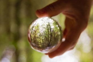 a hand holding a sphere