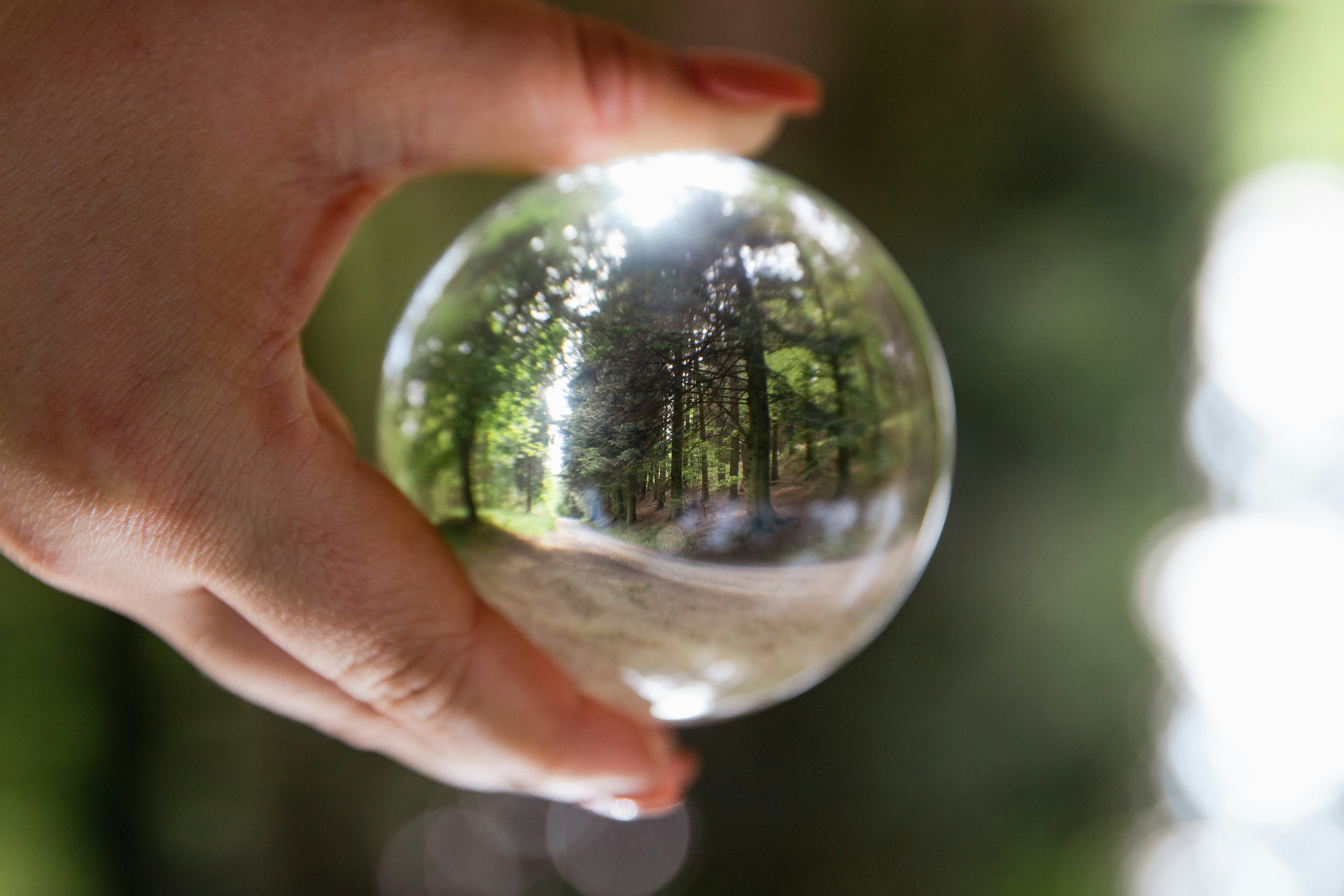 Photo by chloelammiman