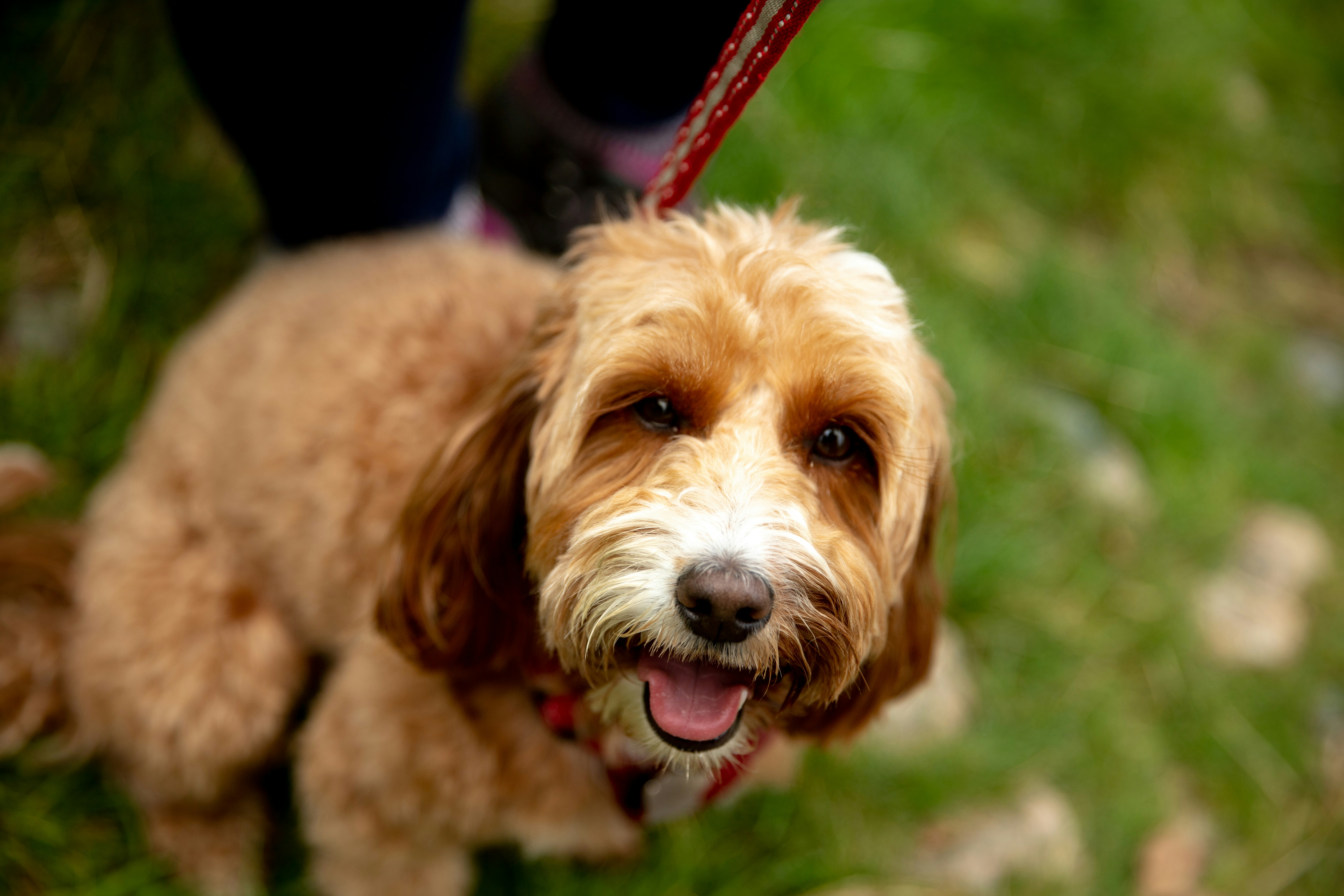 Photo by chloelammiman