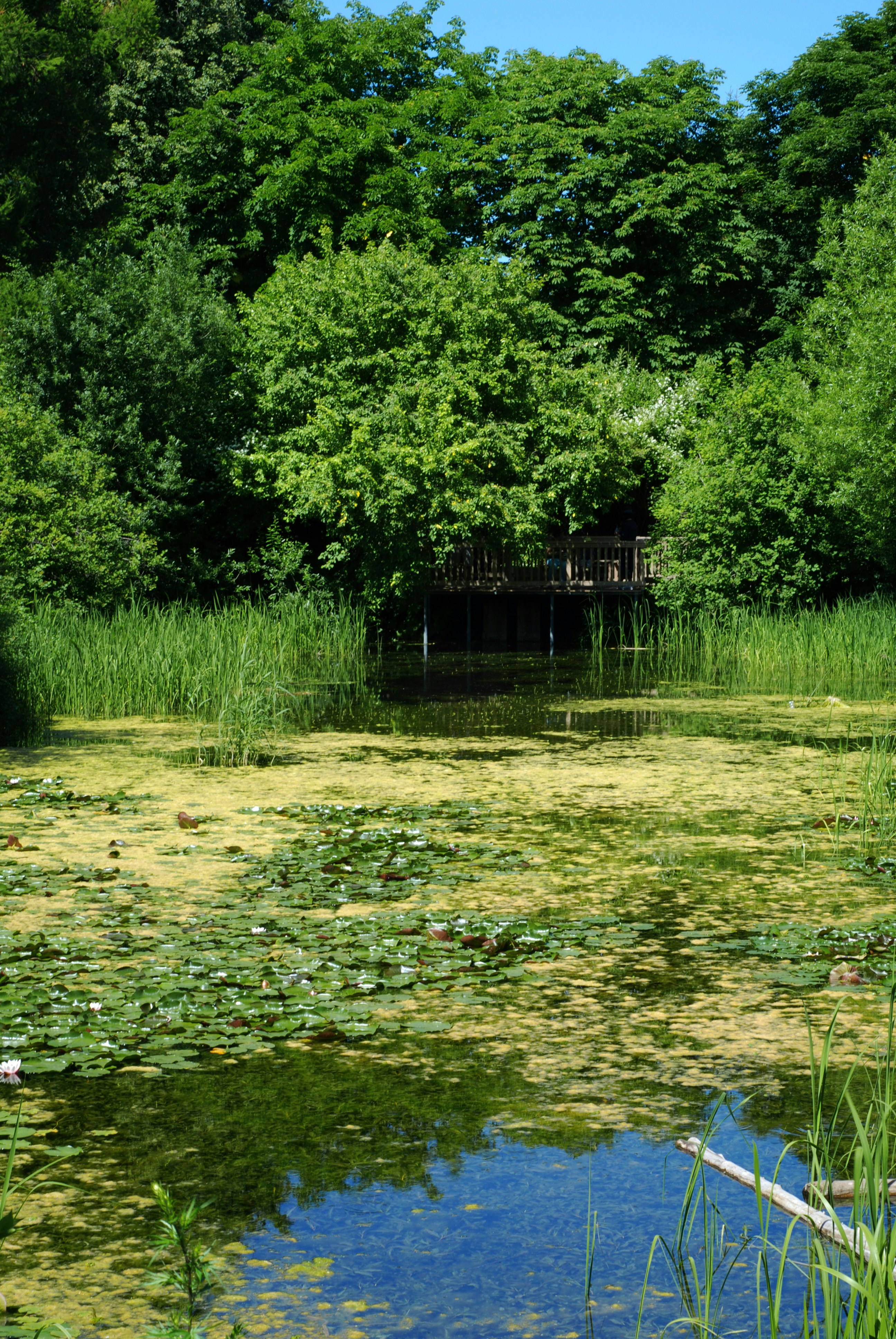 Photo by kovalskihelga