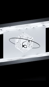 Sleek Black Frame